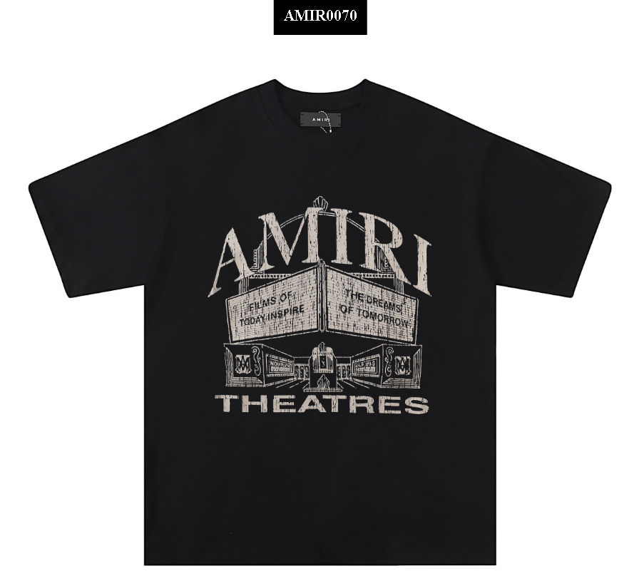 AMIR0070