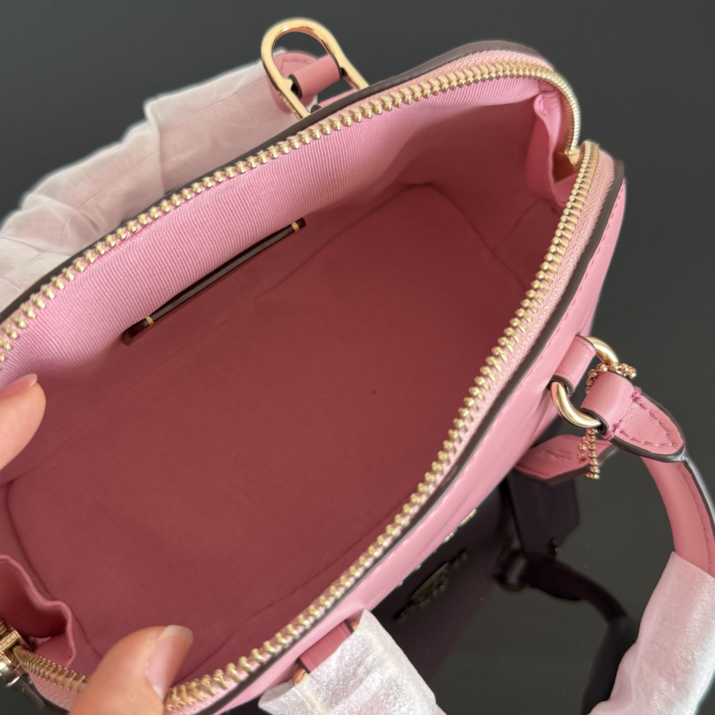 CC-005 (22*12.5*10cm) 6