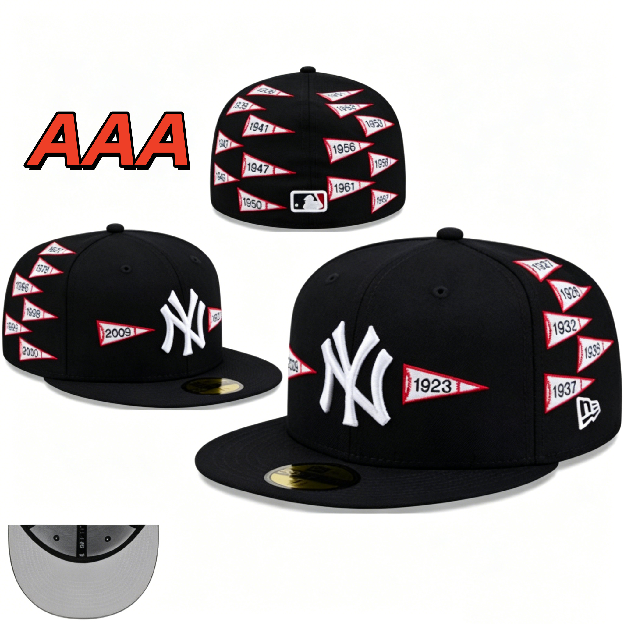 Sombrero de ala plana AA09