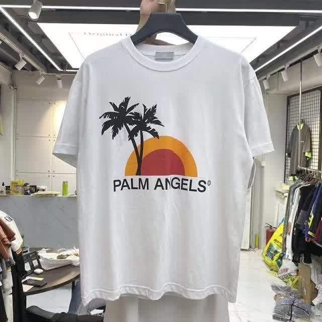 PAL01161