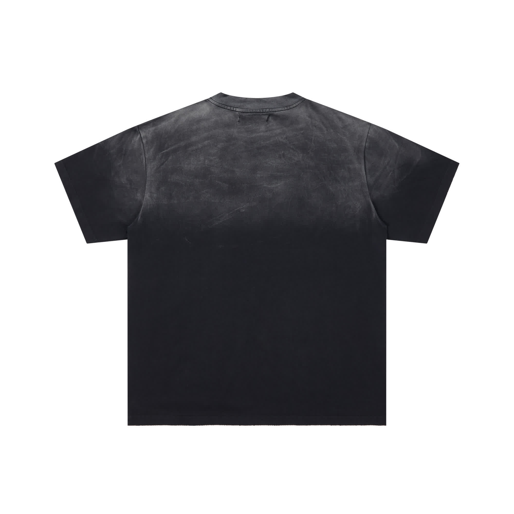 DLS0003 5