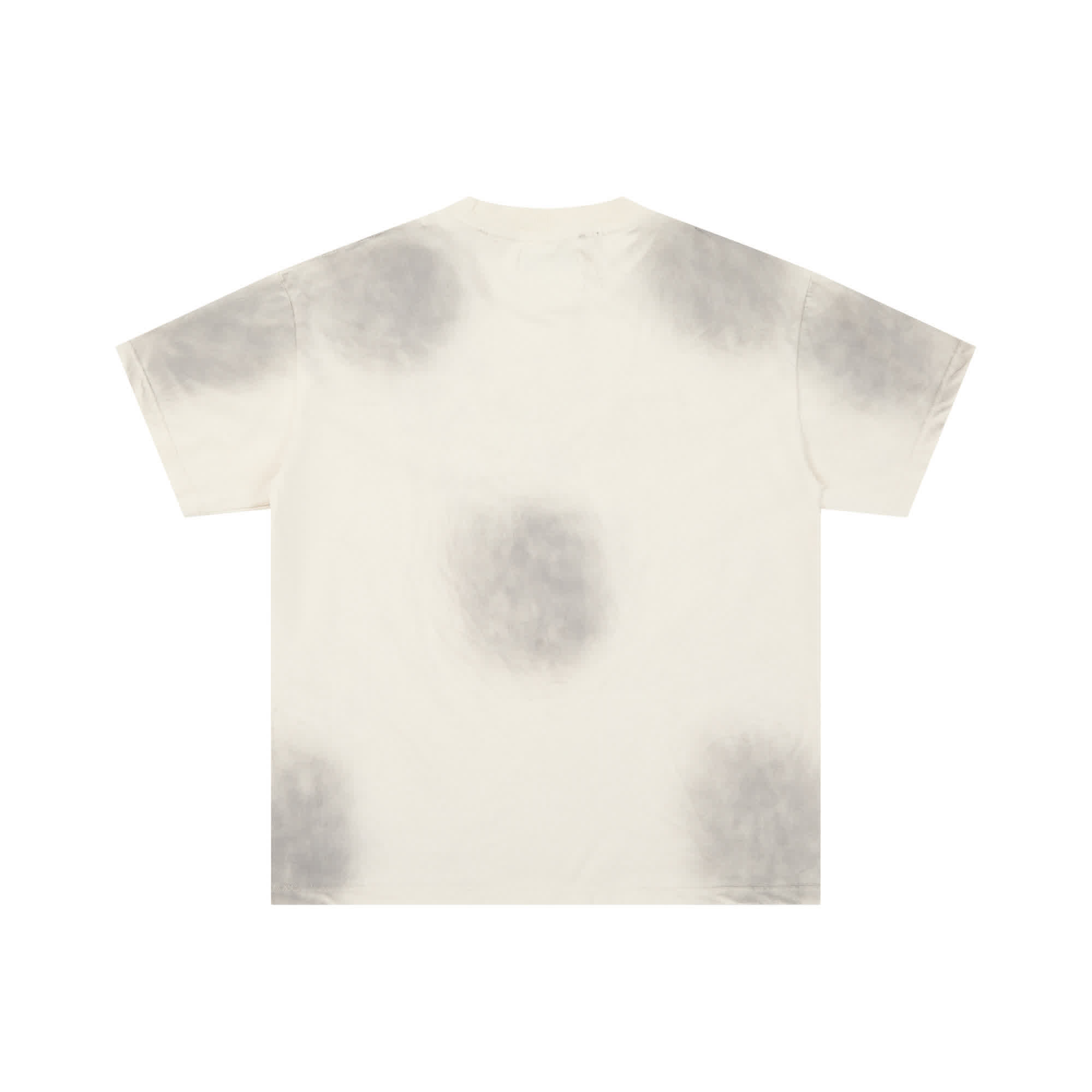 DLS0005 6