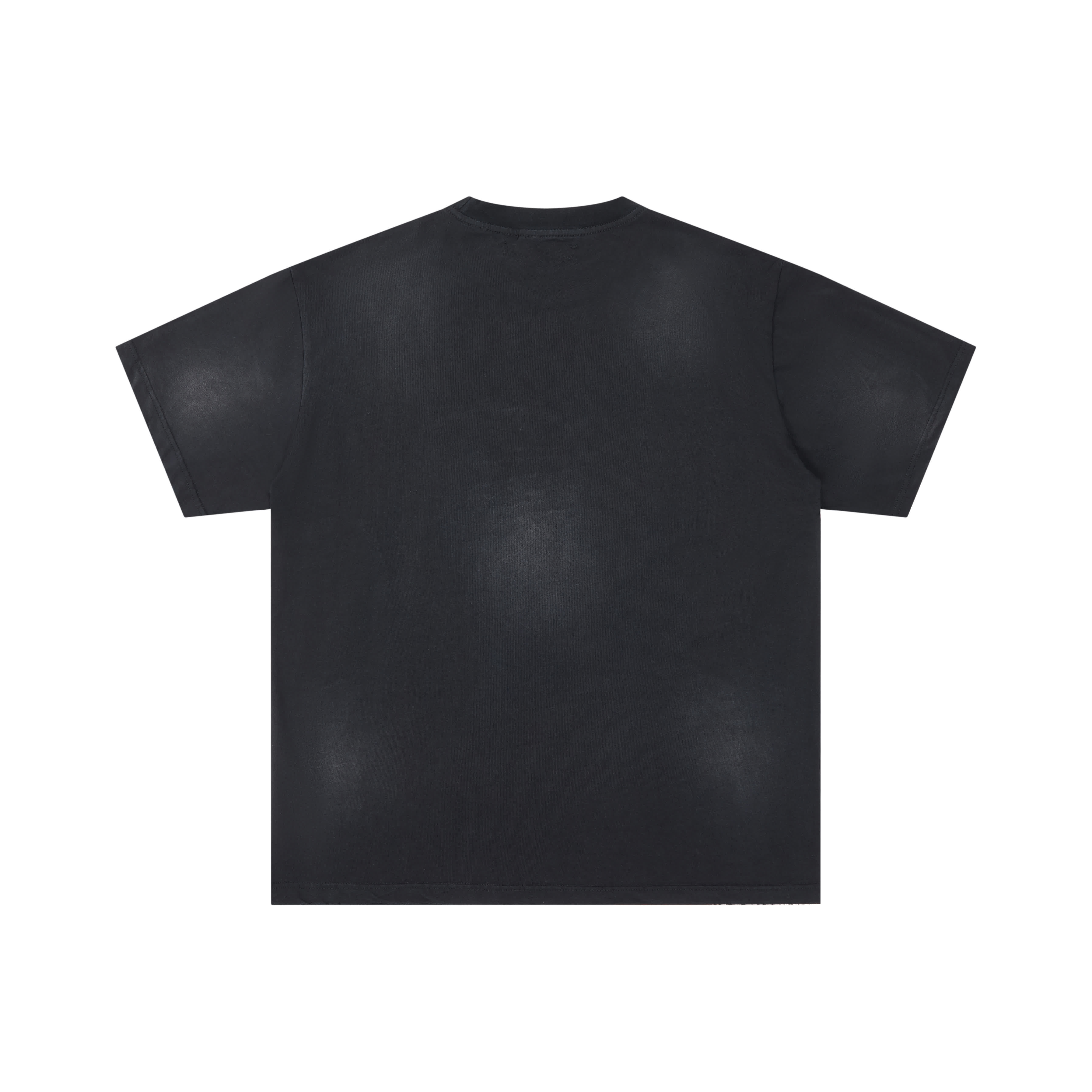 DLS0009 5