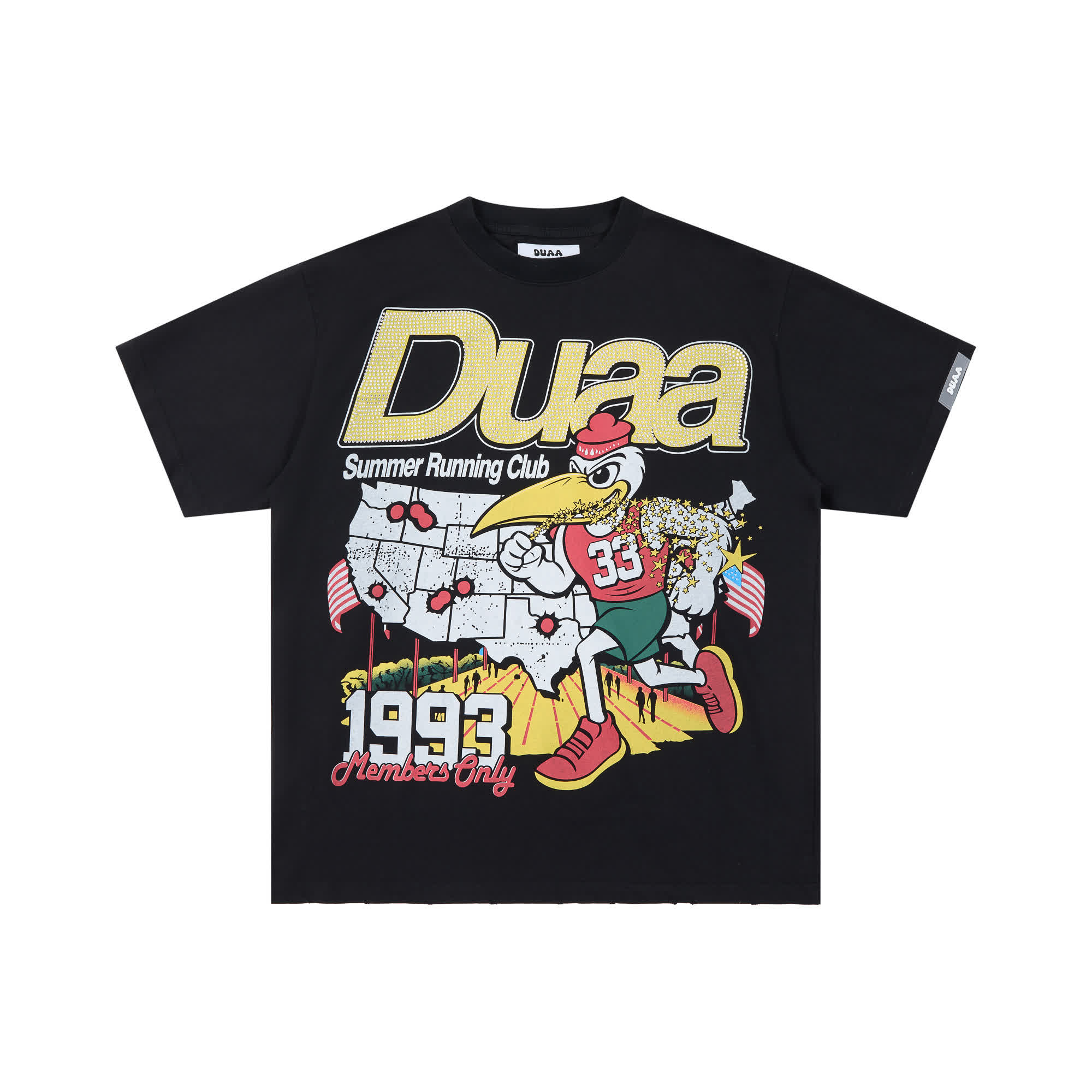 DLS0010