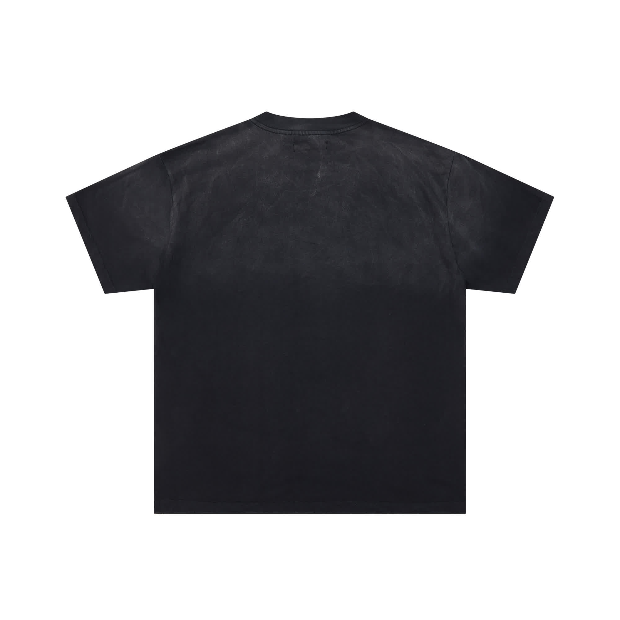 DLS0016 6