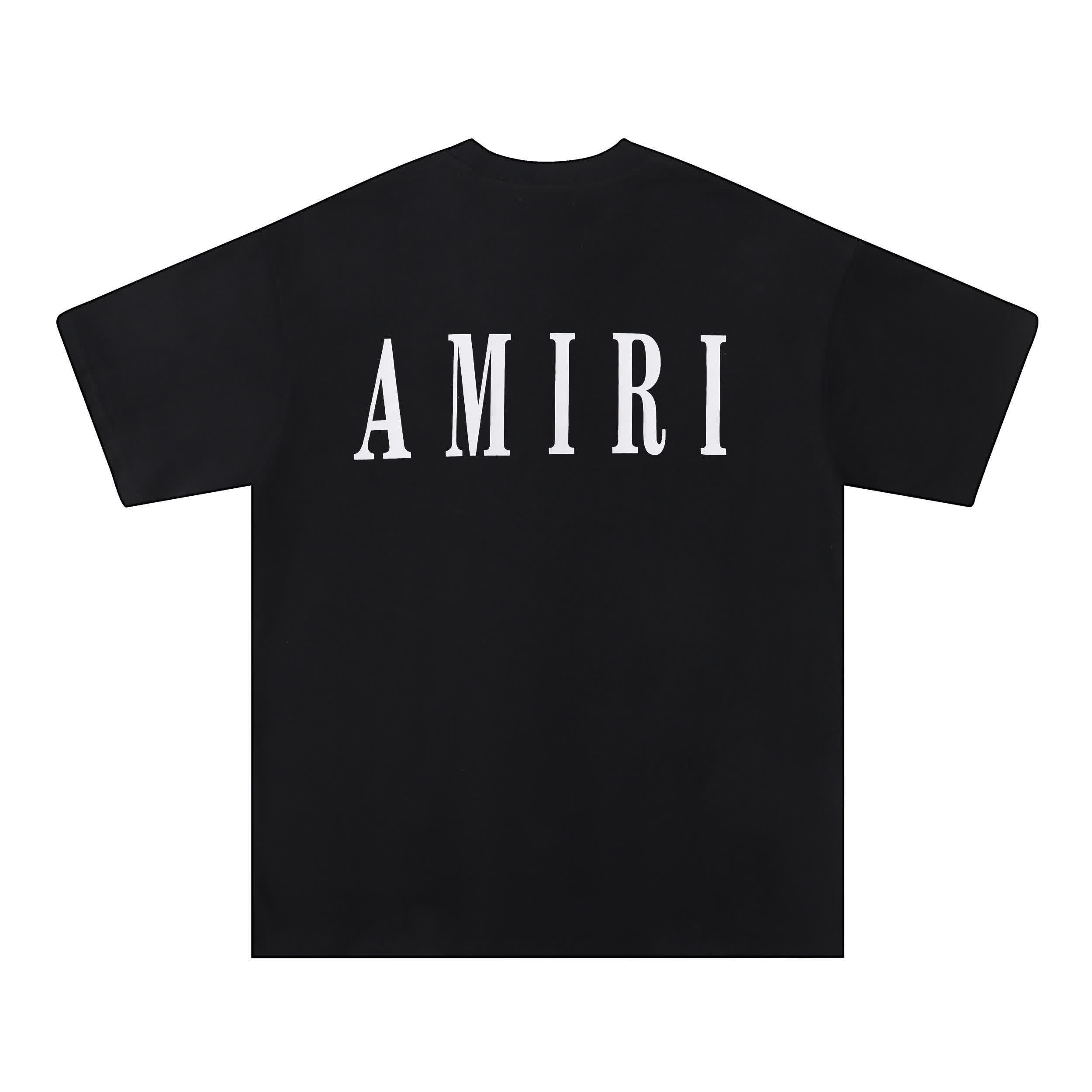 AMIR0001