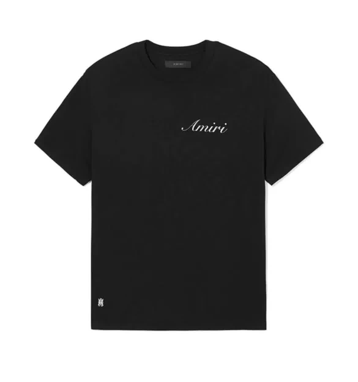 AMIR0008 16