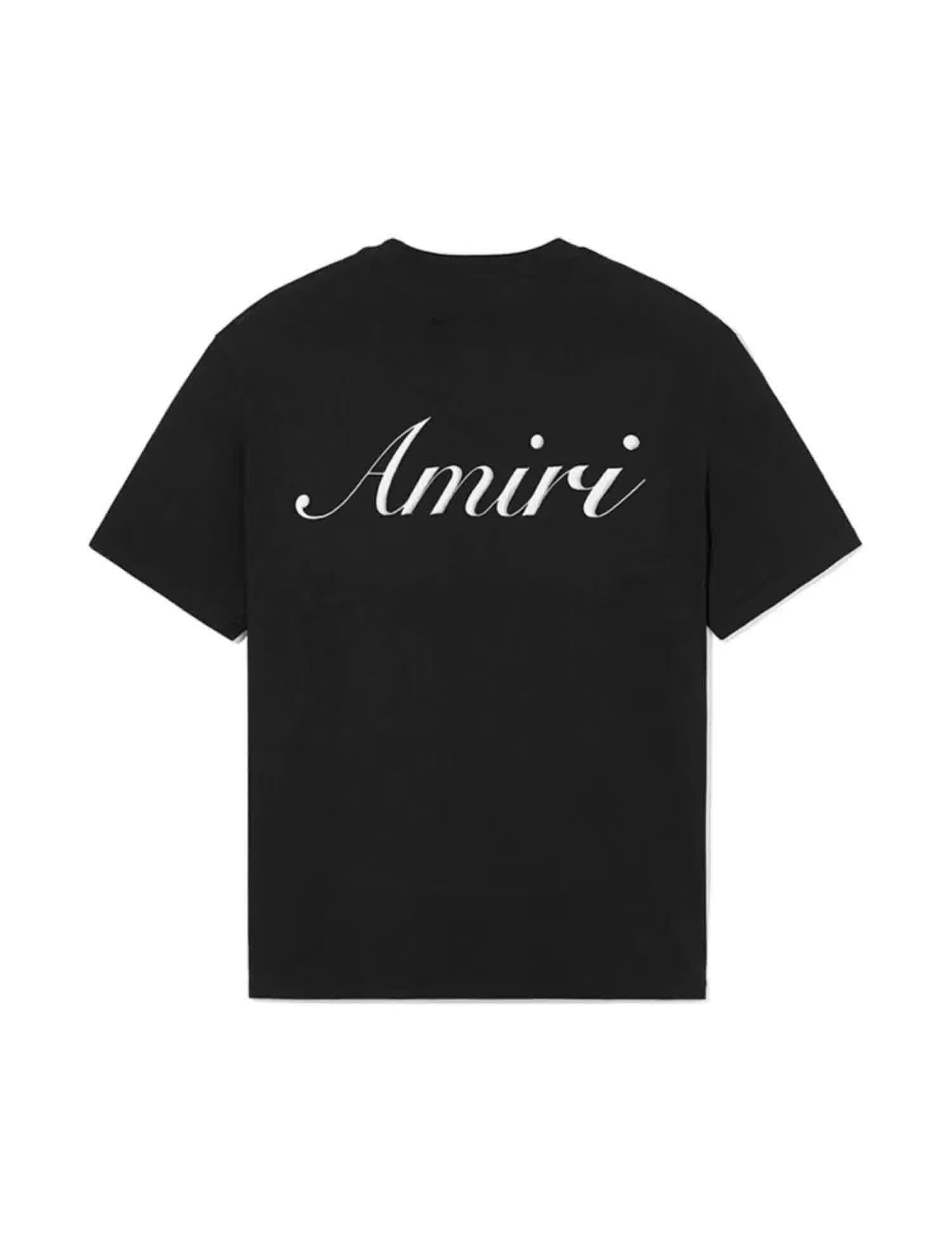 AMIR0008 17