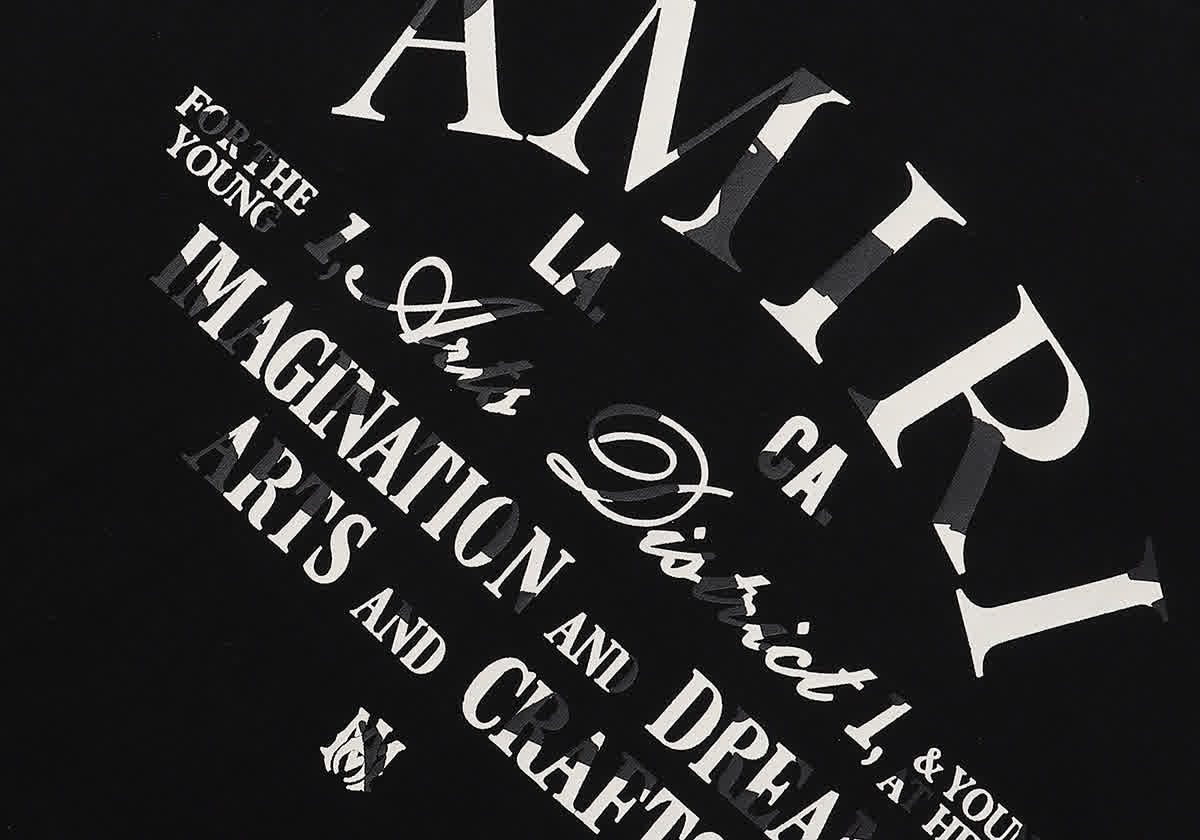 AMIR0010 6