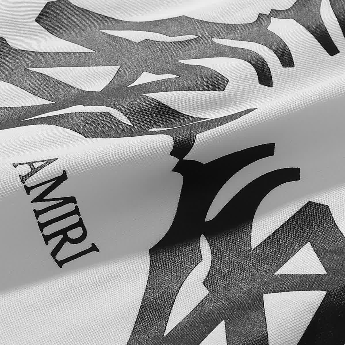 AMIR0011 10