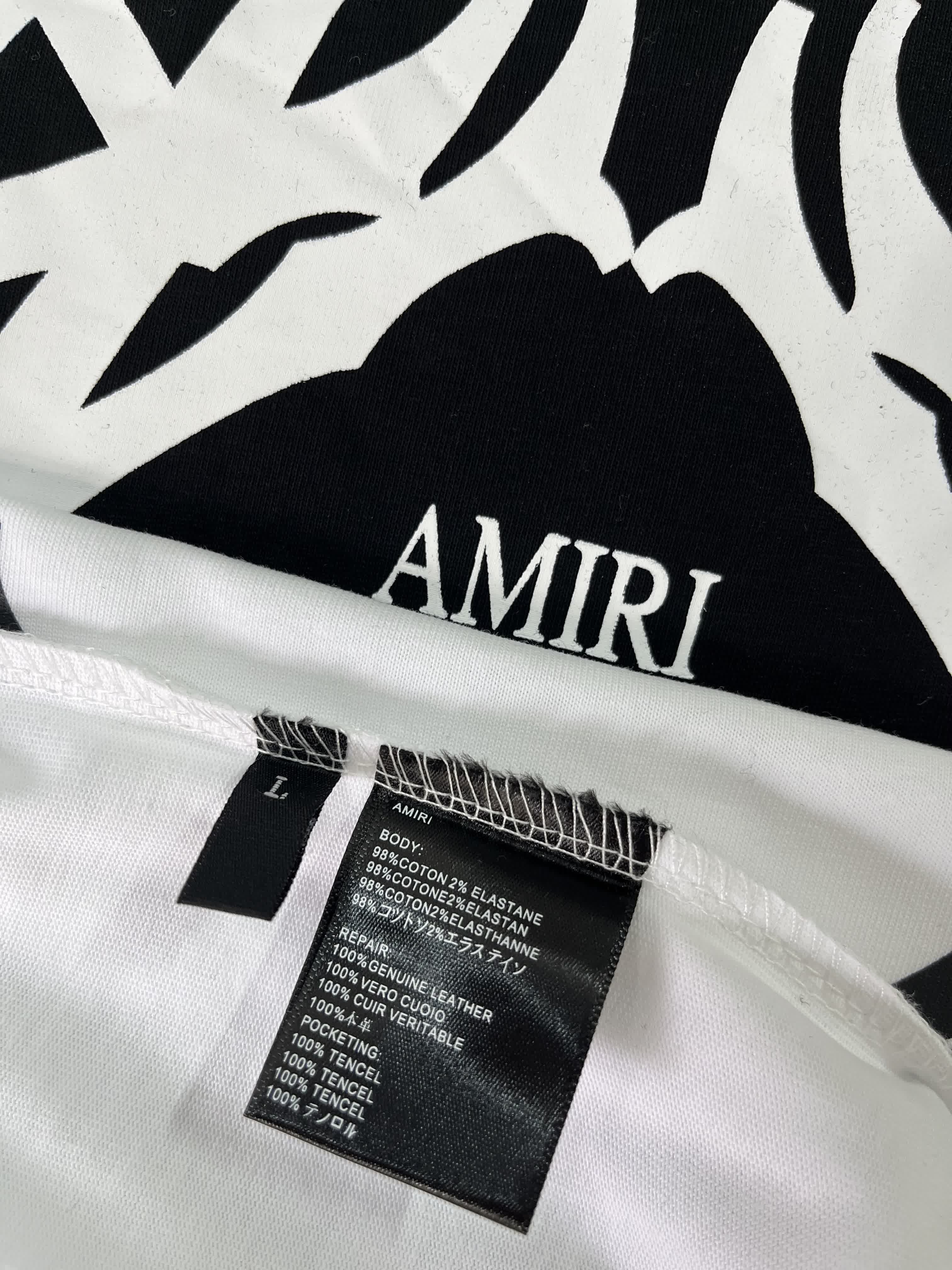 AMIR0011 15