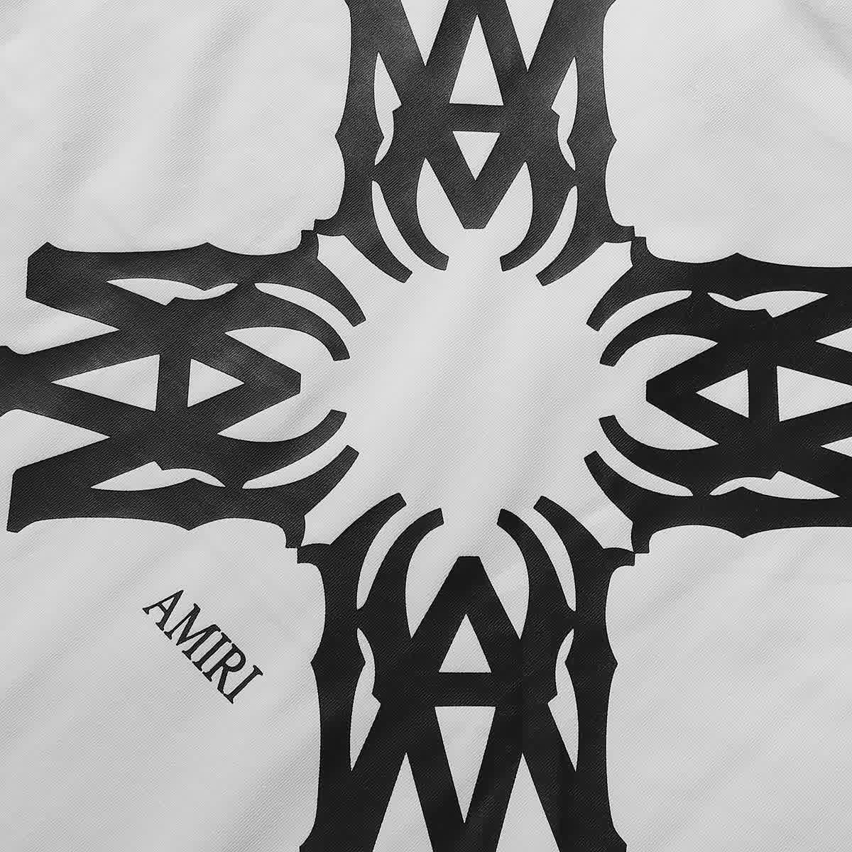 AMIR0011 9