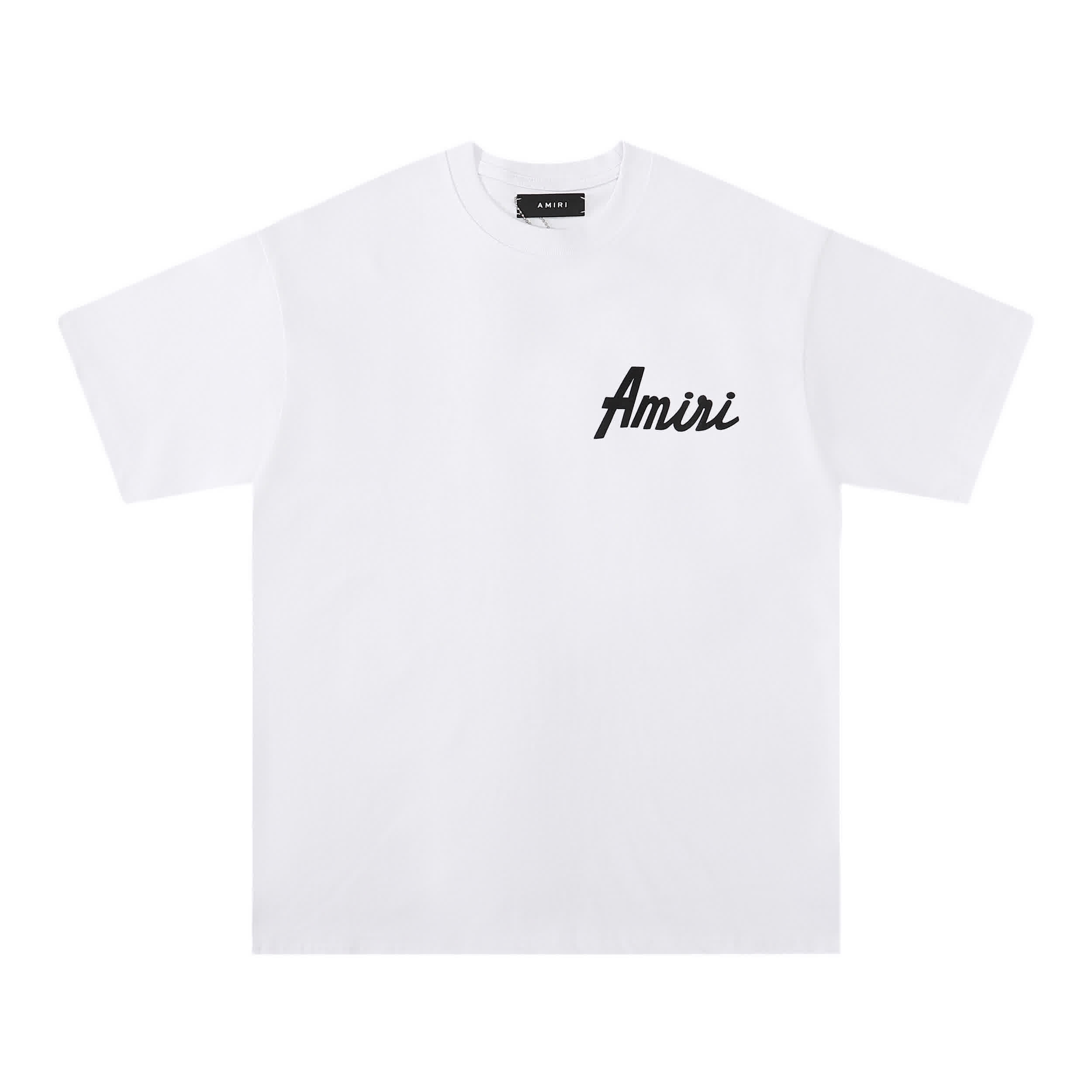 AMIR0013