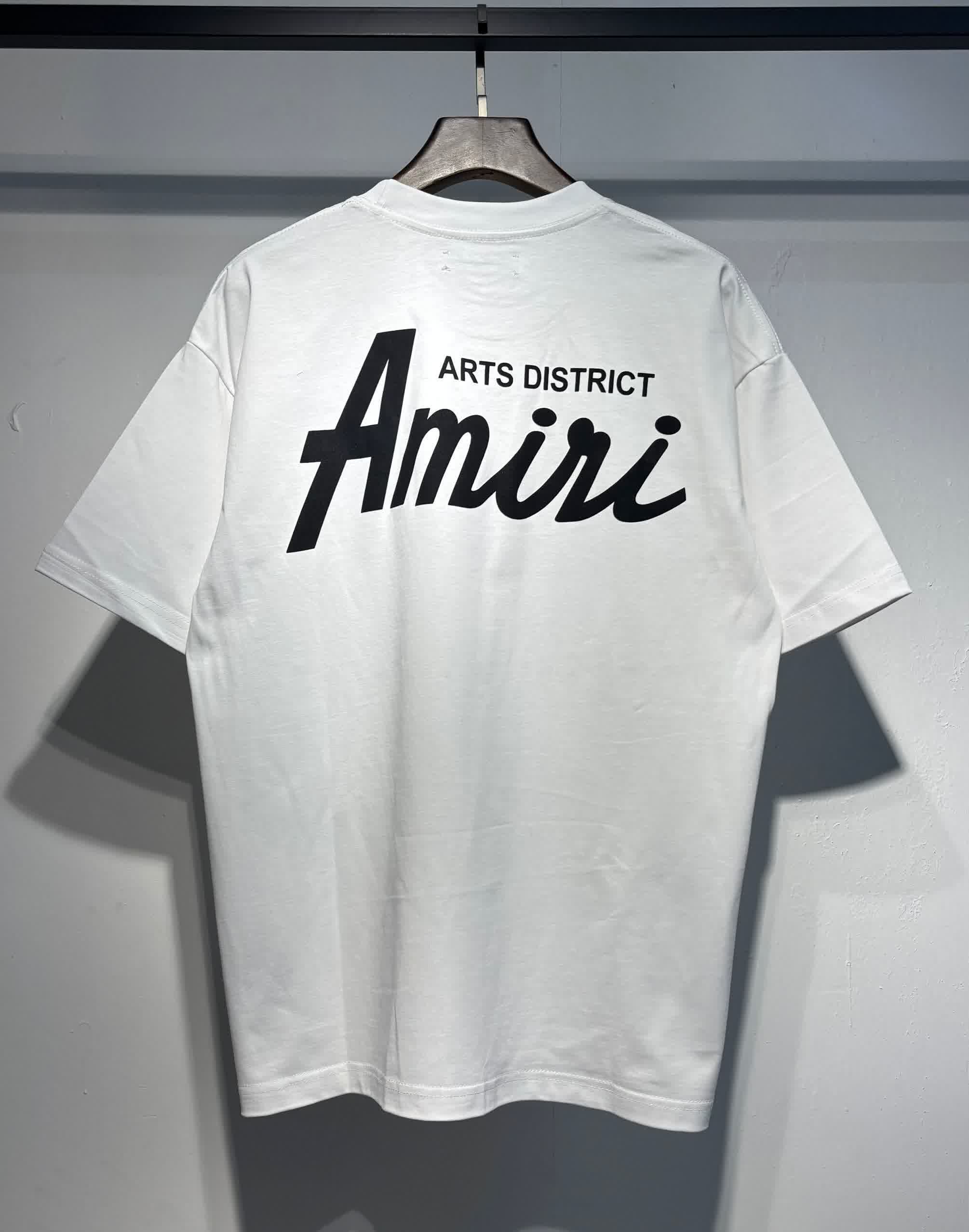 AMIR0013 19