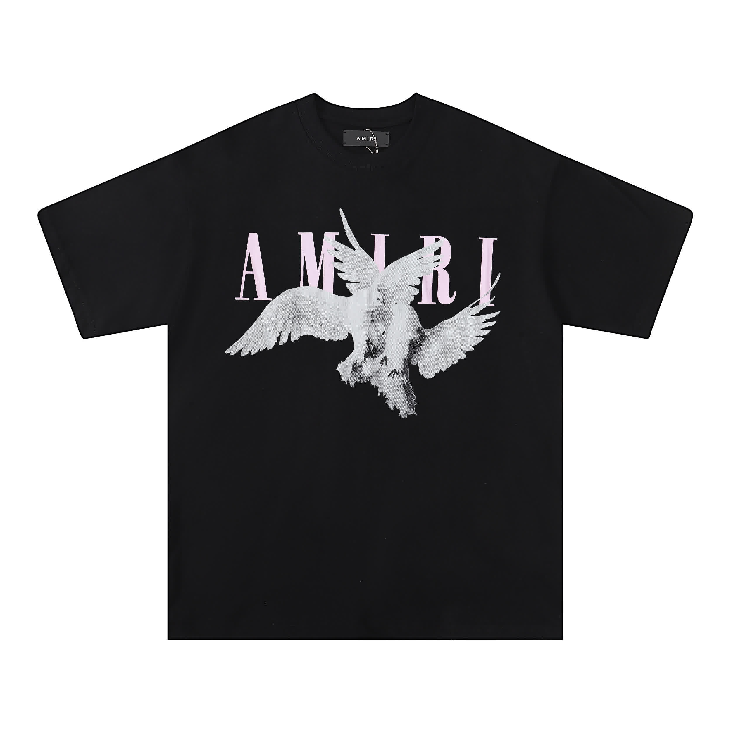 AMIR0026