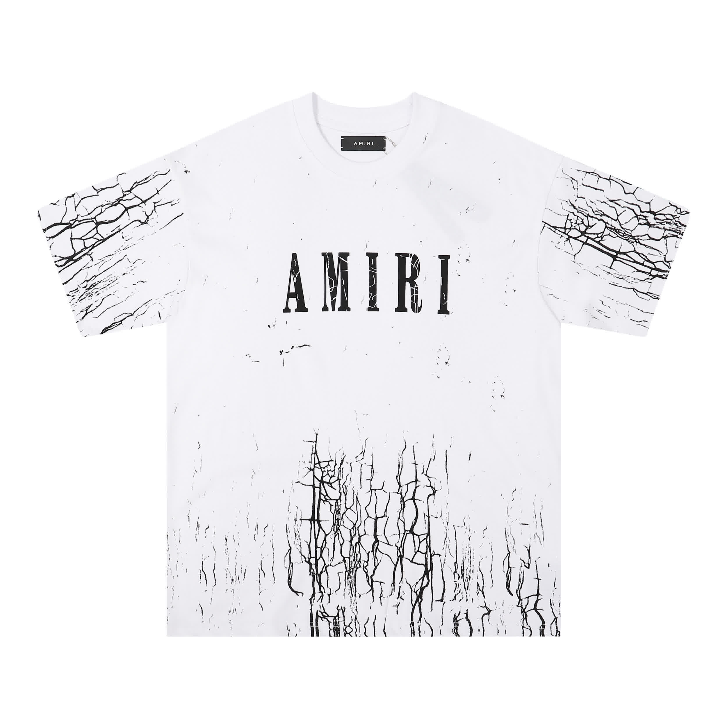 AMIR0028