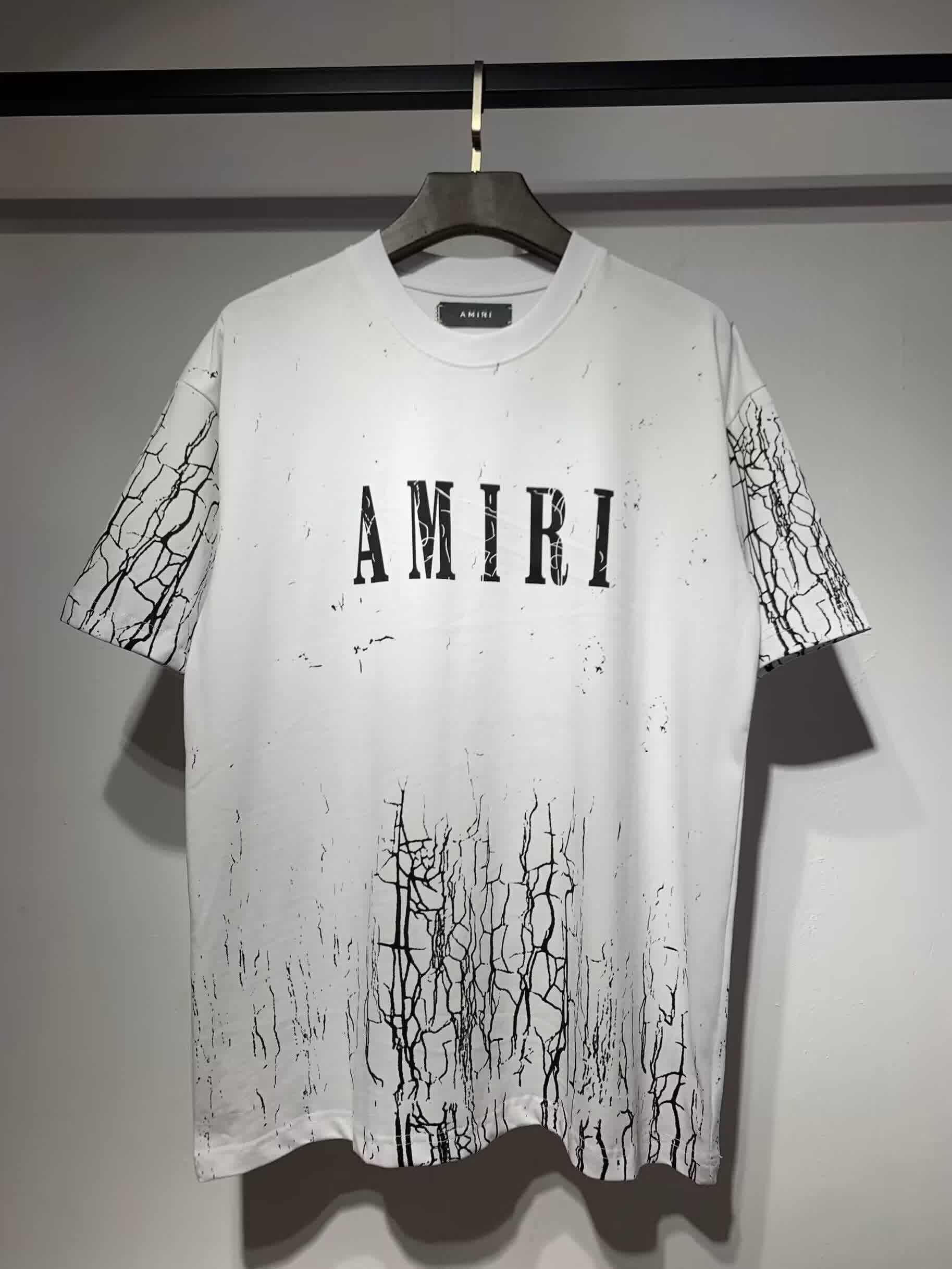 AMIR0028 22
