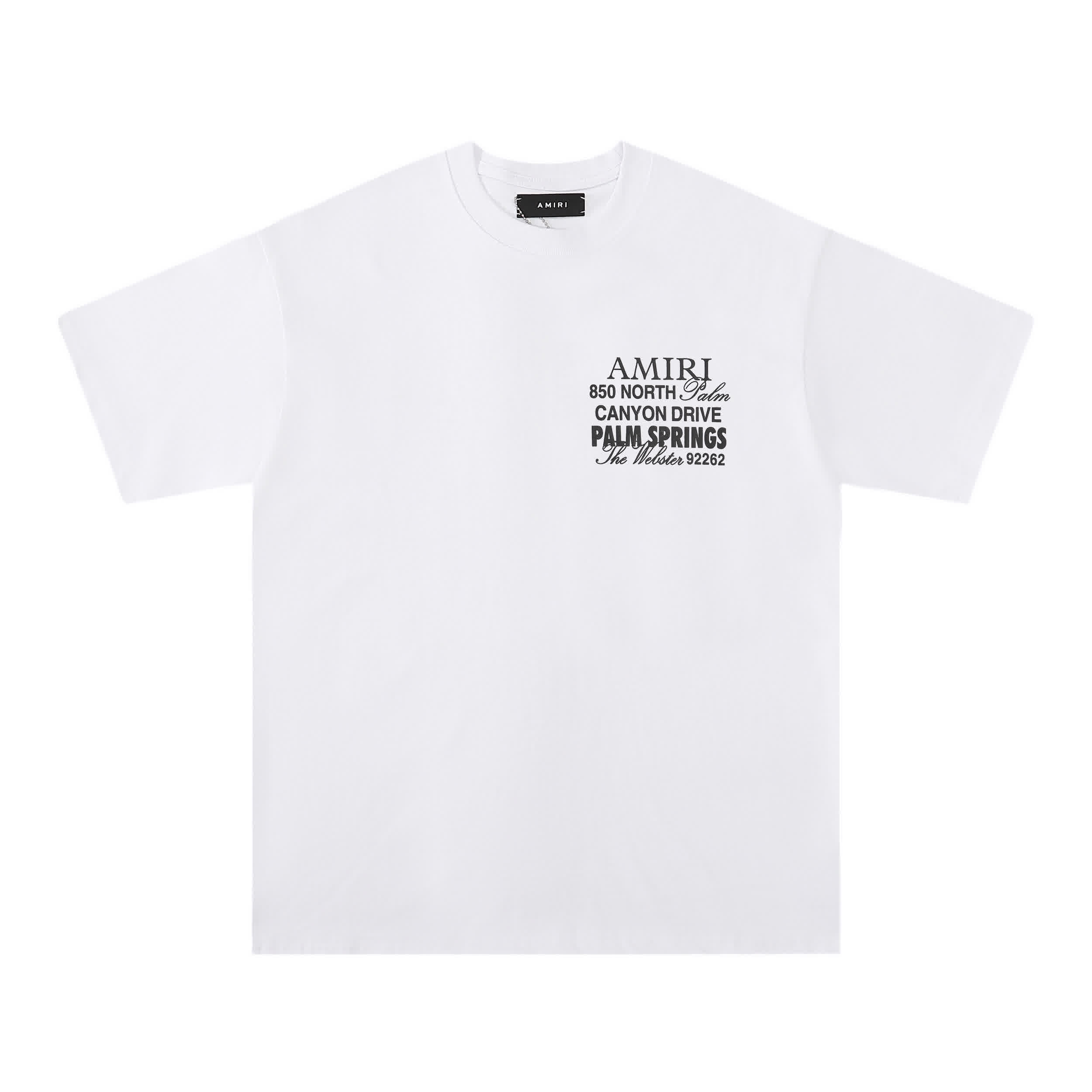 AMIR0029