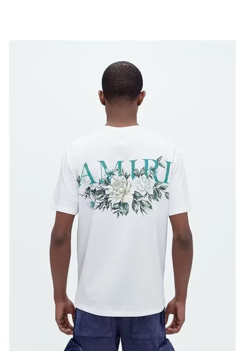 AMIR0034 31
