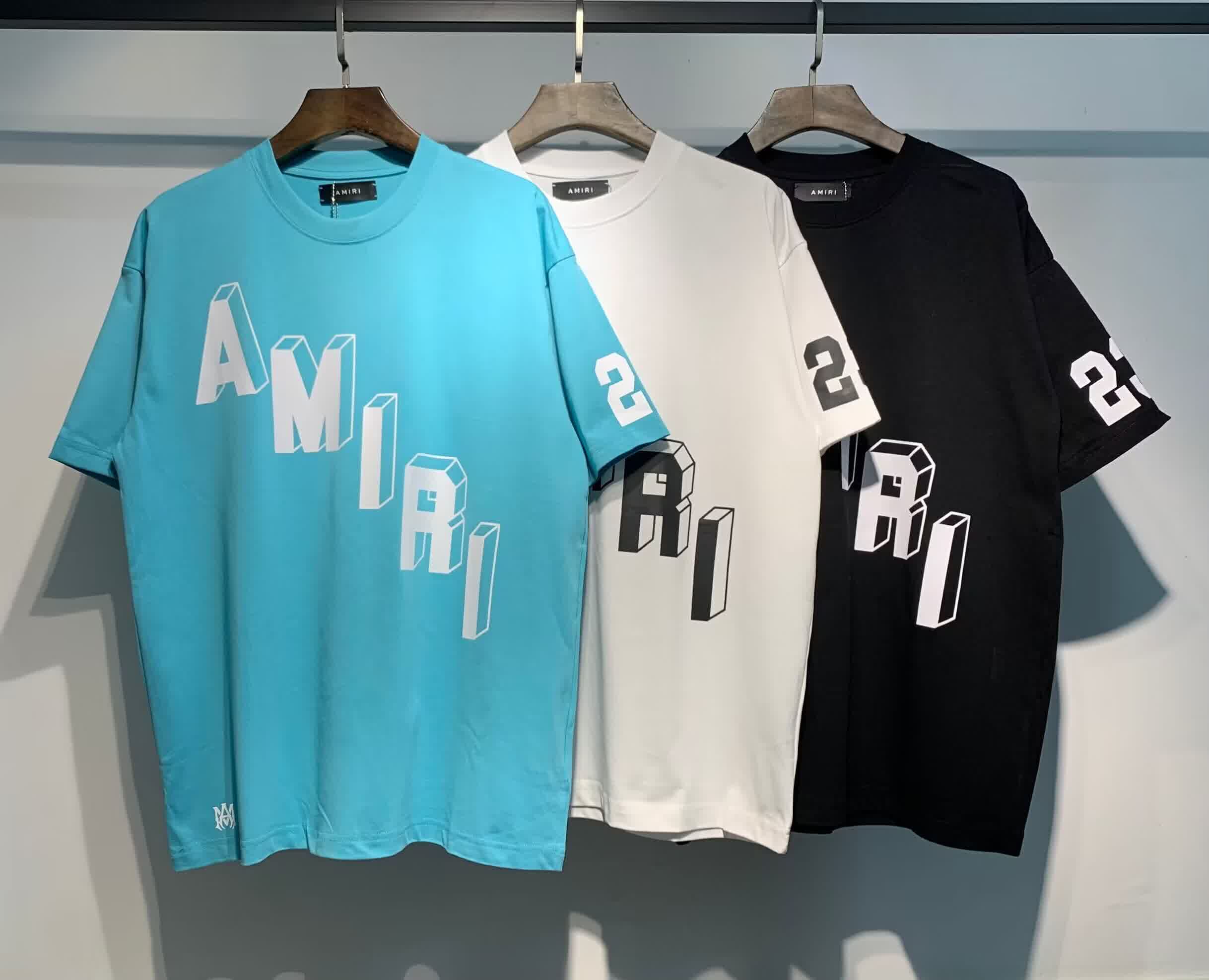 AMIR0038 31