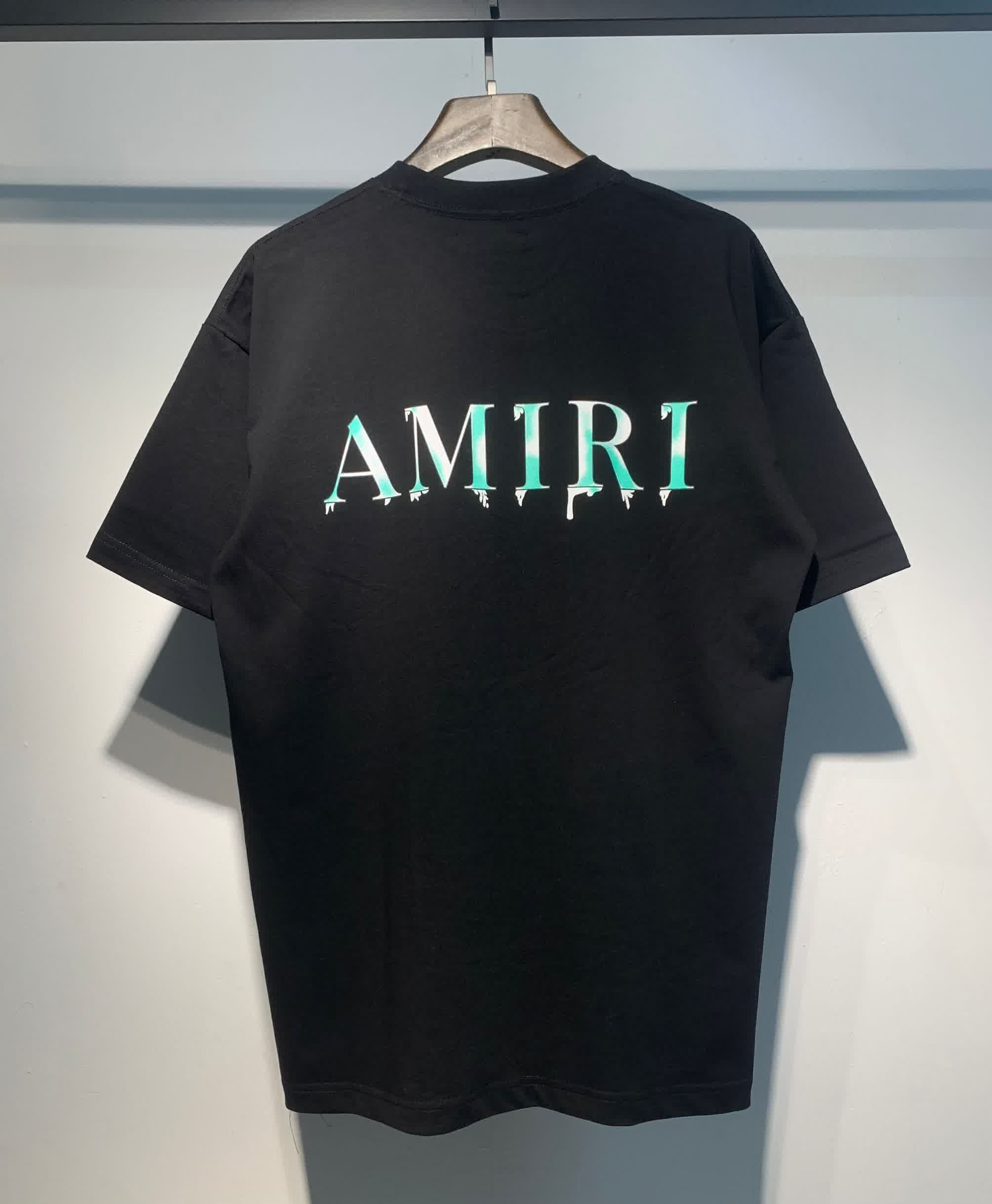 AMIR0040 13