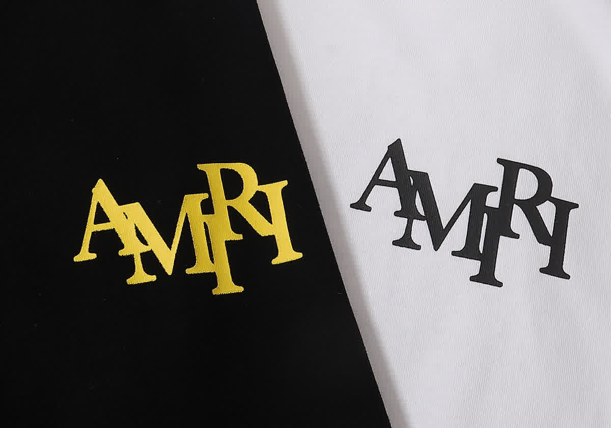 AMIR0041 13