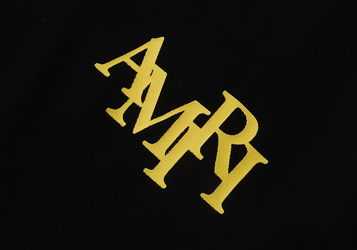 AMIR0041 6