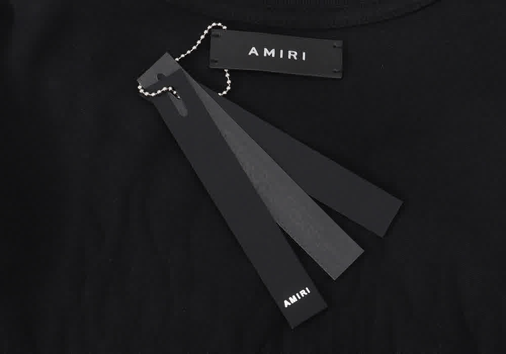 AMIR0042 14