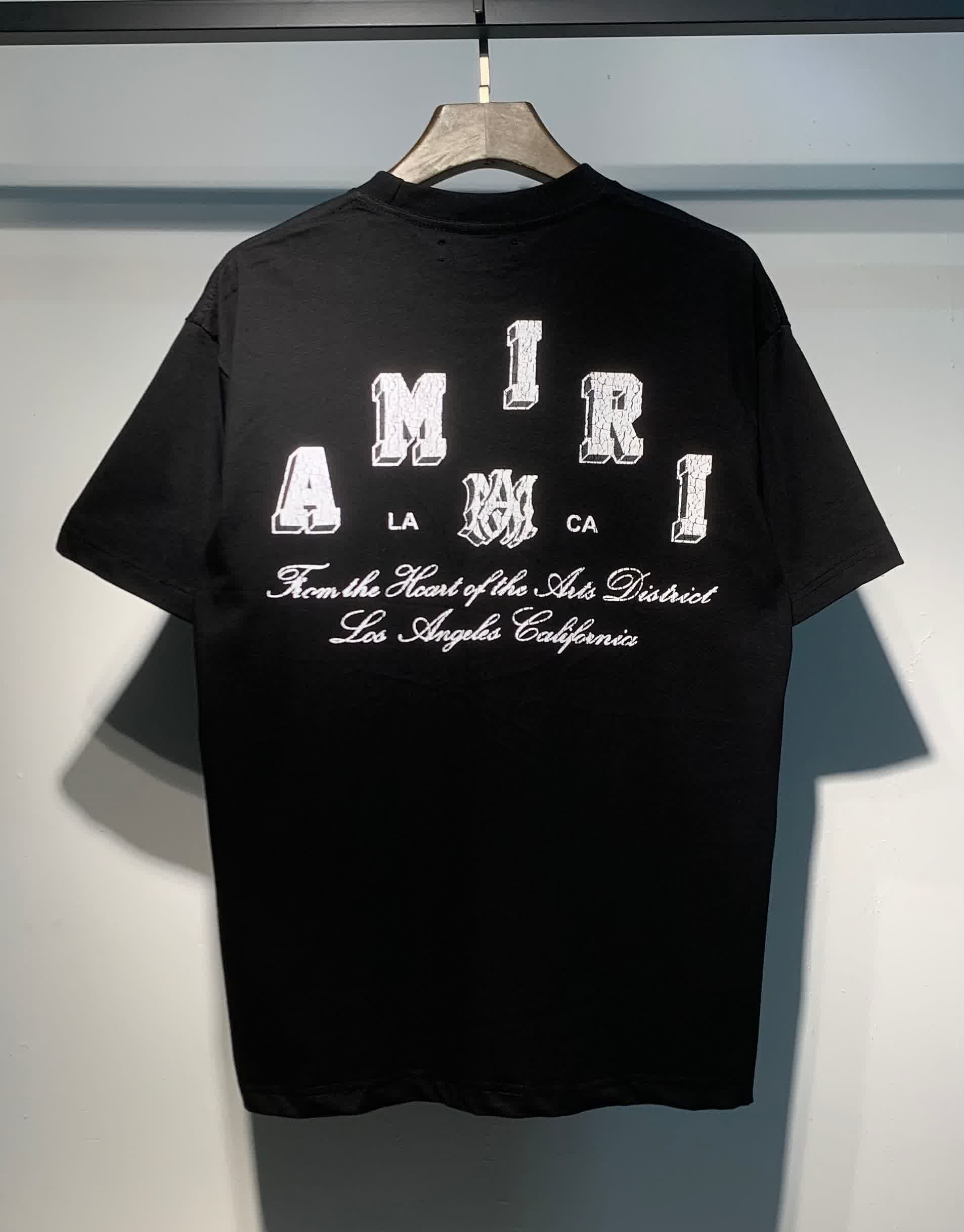 AMIR0047 19