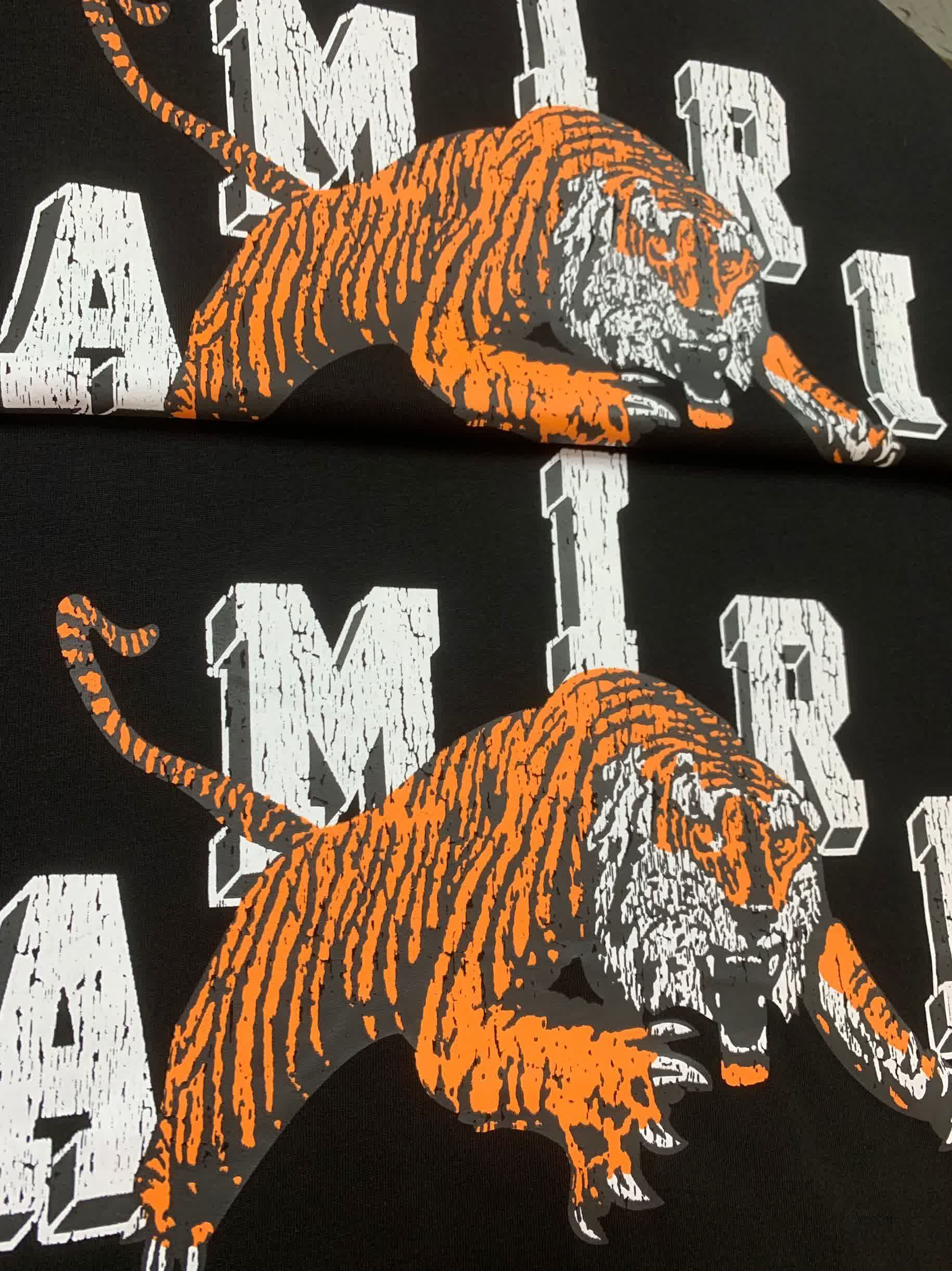 AMIR0050 16