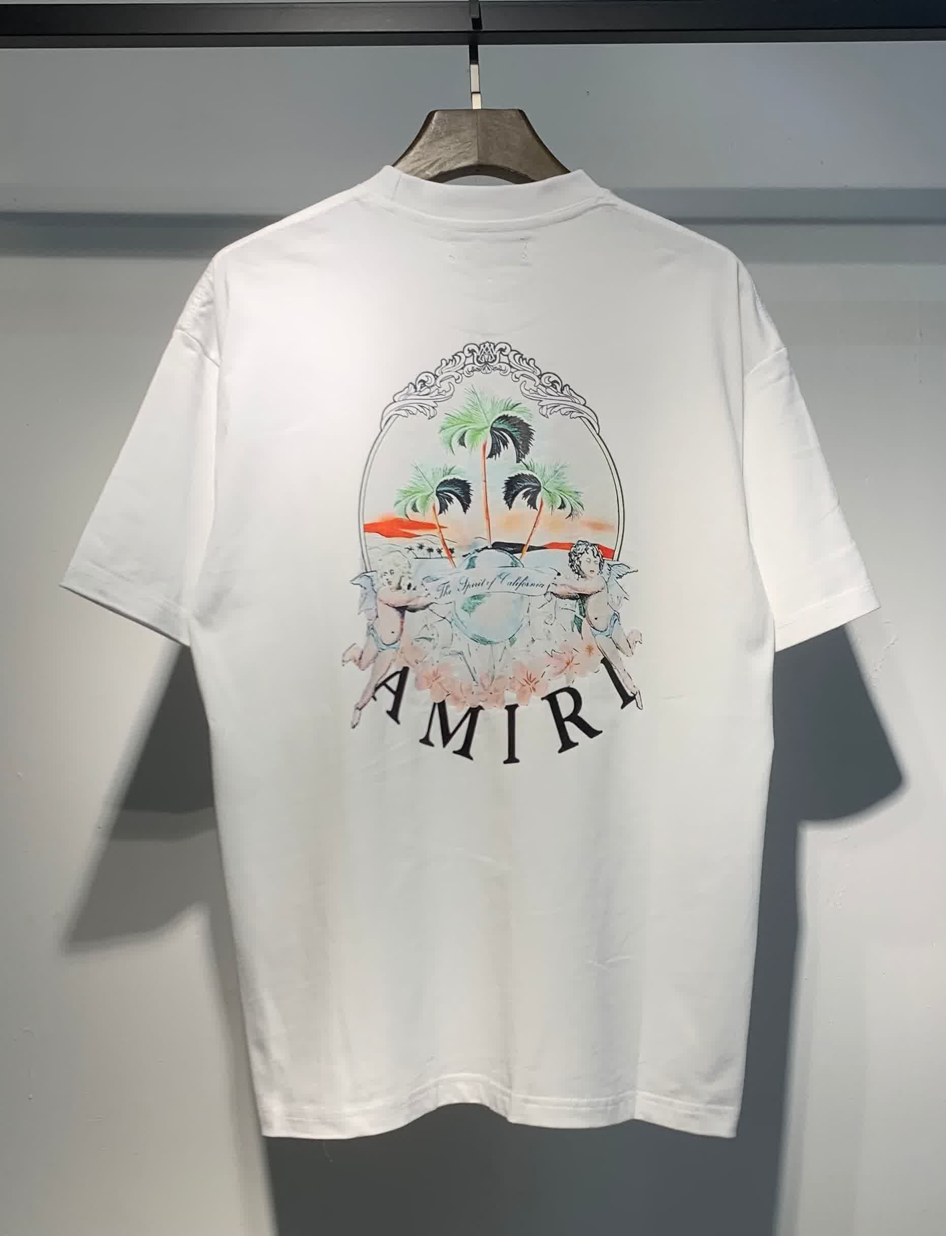 AMIR0053 21