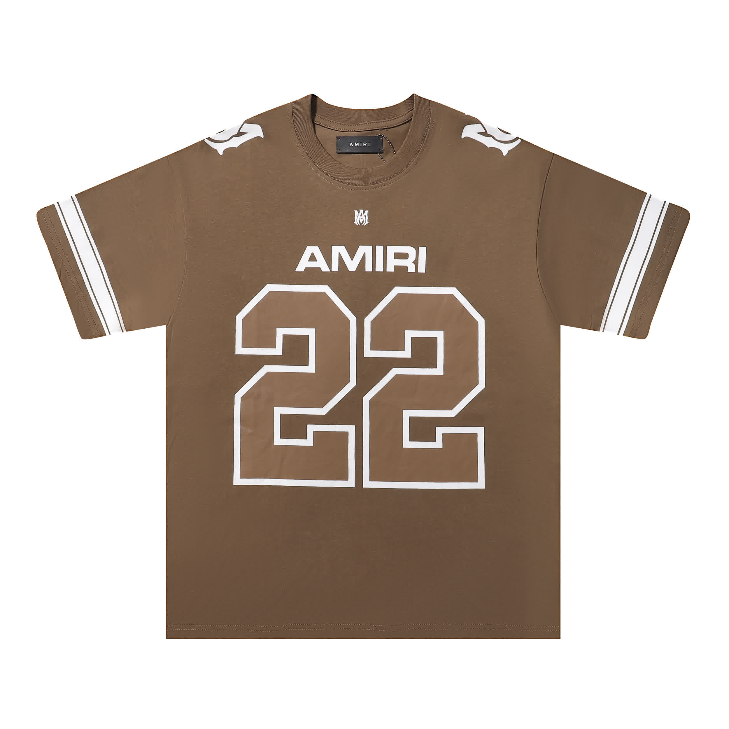 AMIR0058