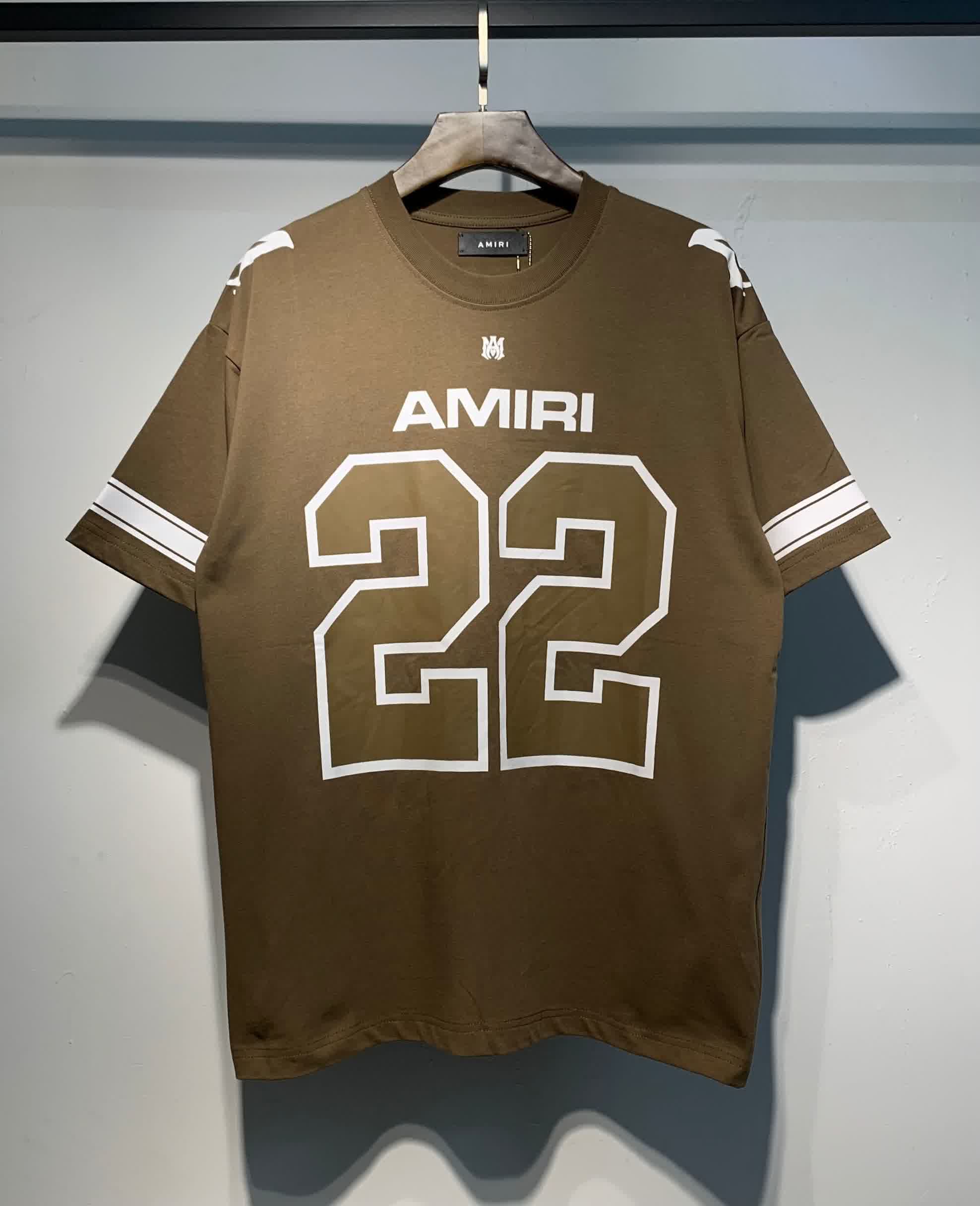 AMIR0058 33
