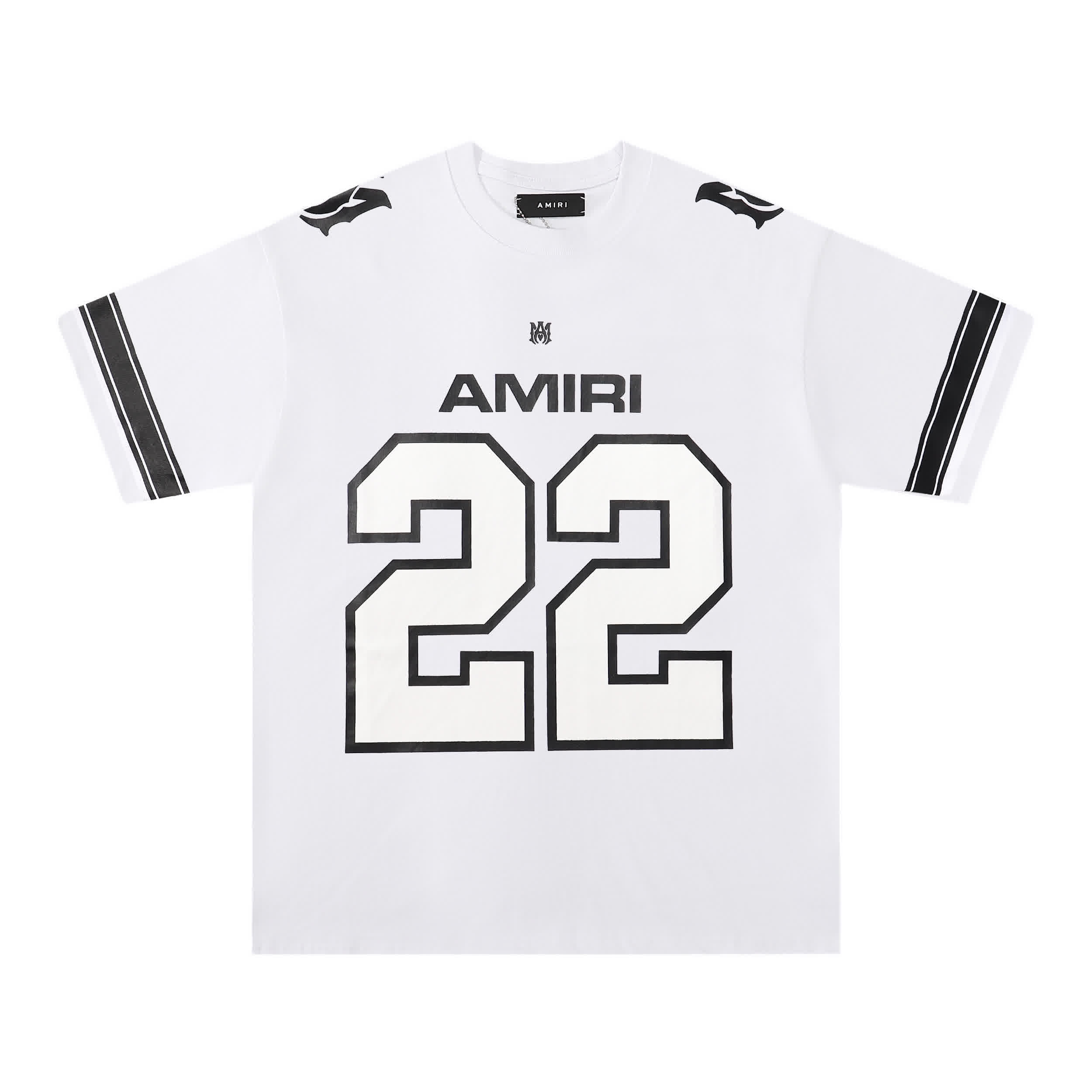 AMIR0058 5