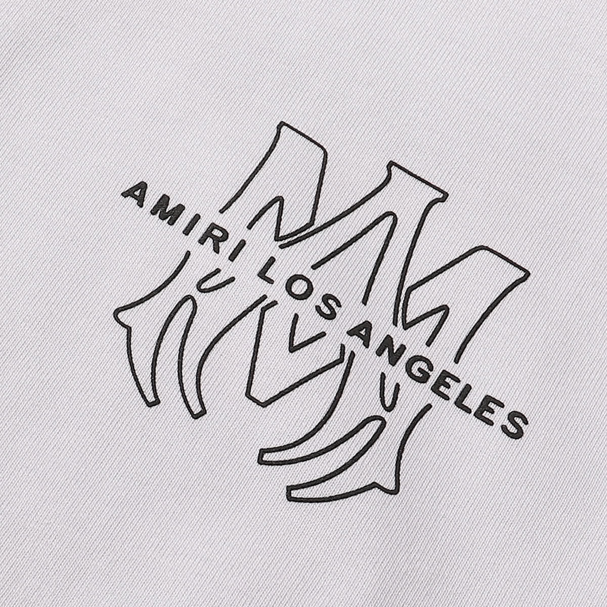 AMIR0074 6