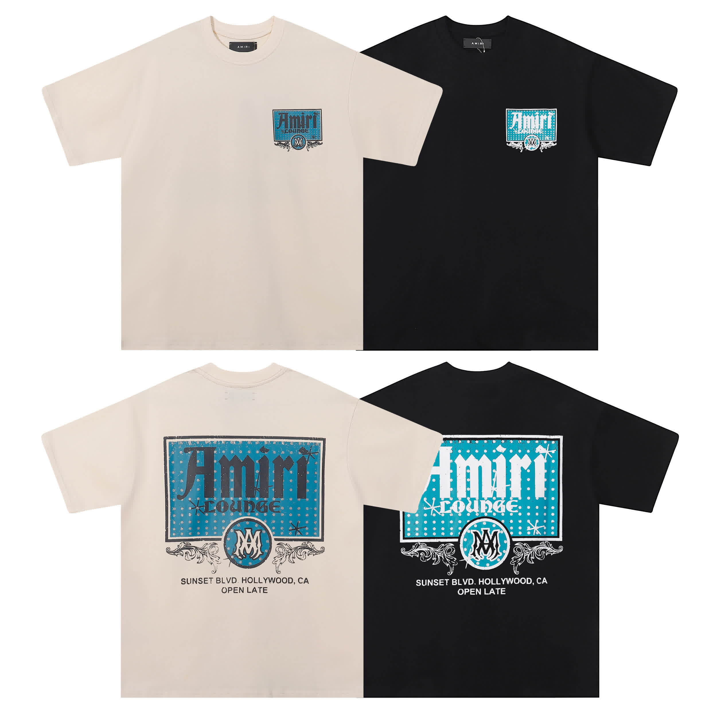 AMIR0080