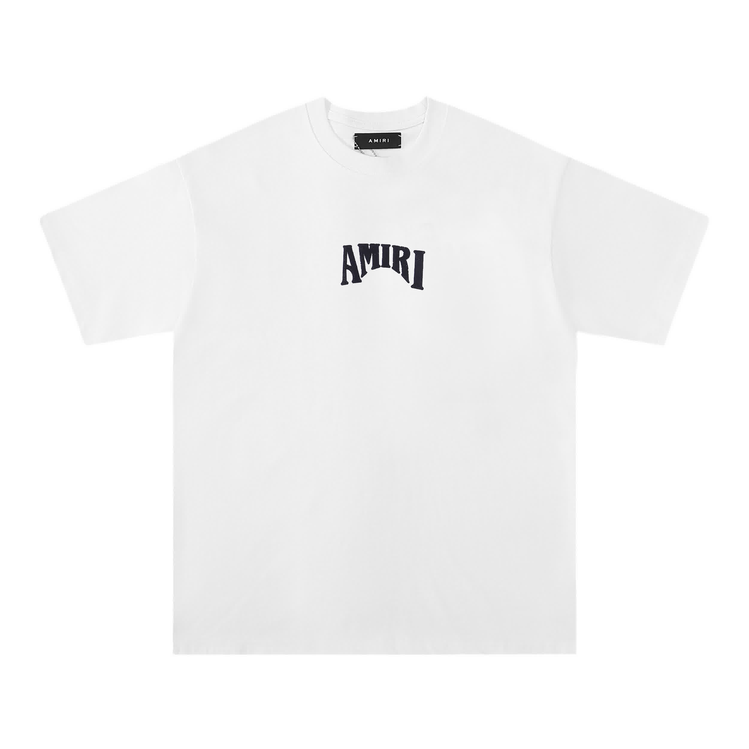 AMIR0084