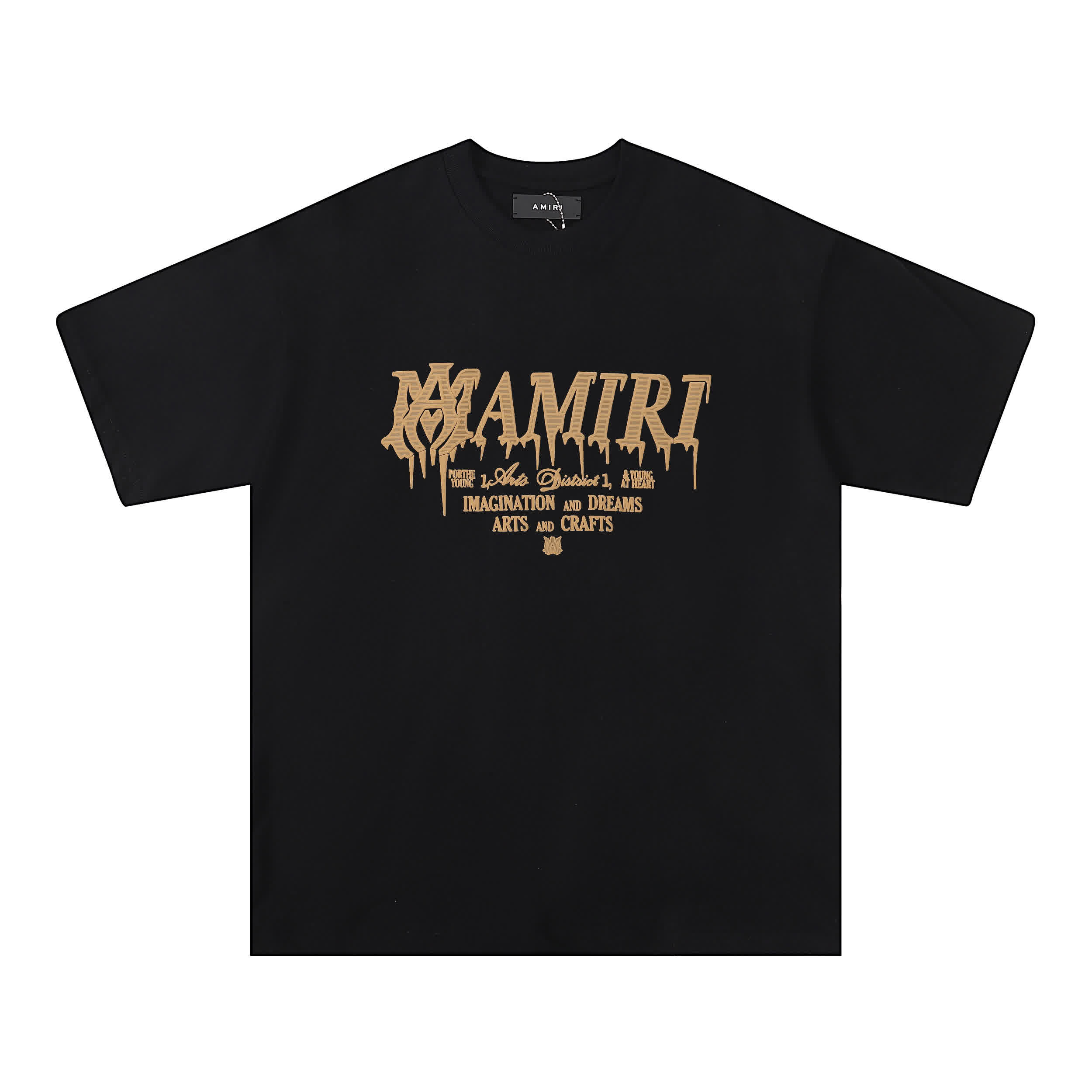 AMIR0087