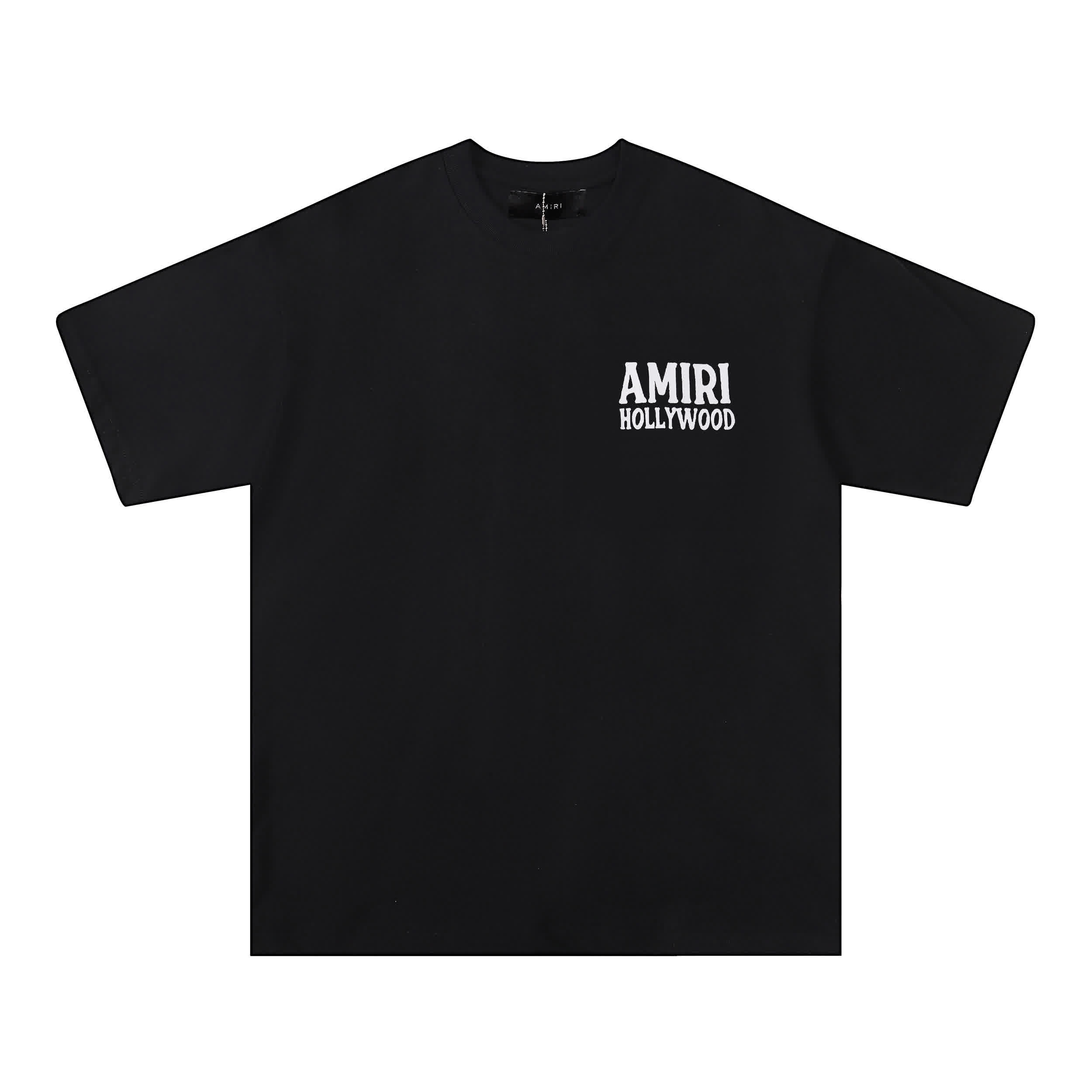 AMIR0089