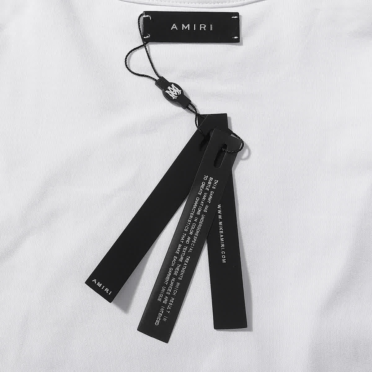 AMIR0095 10