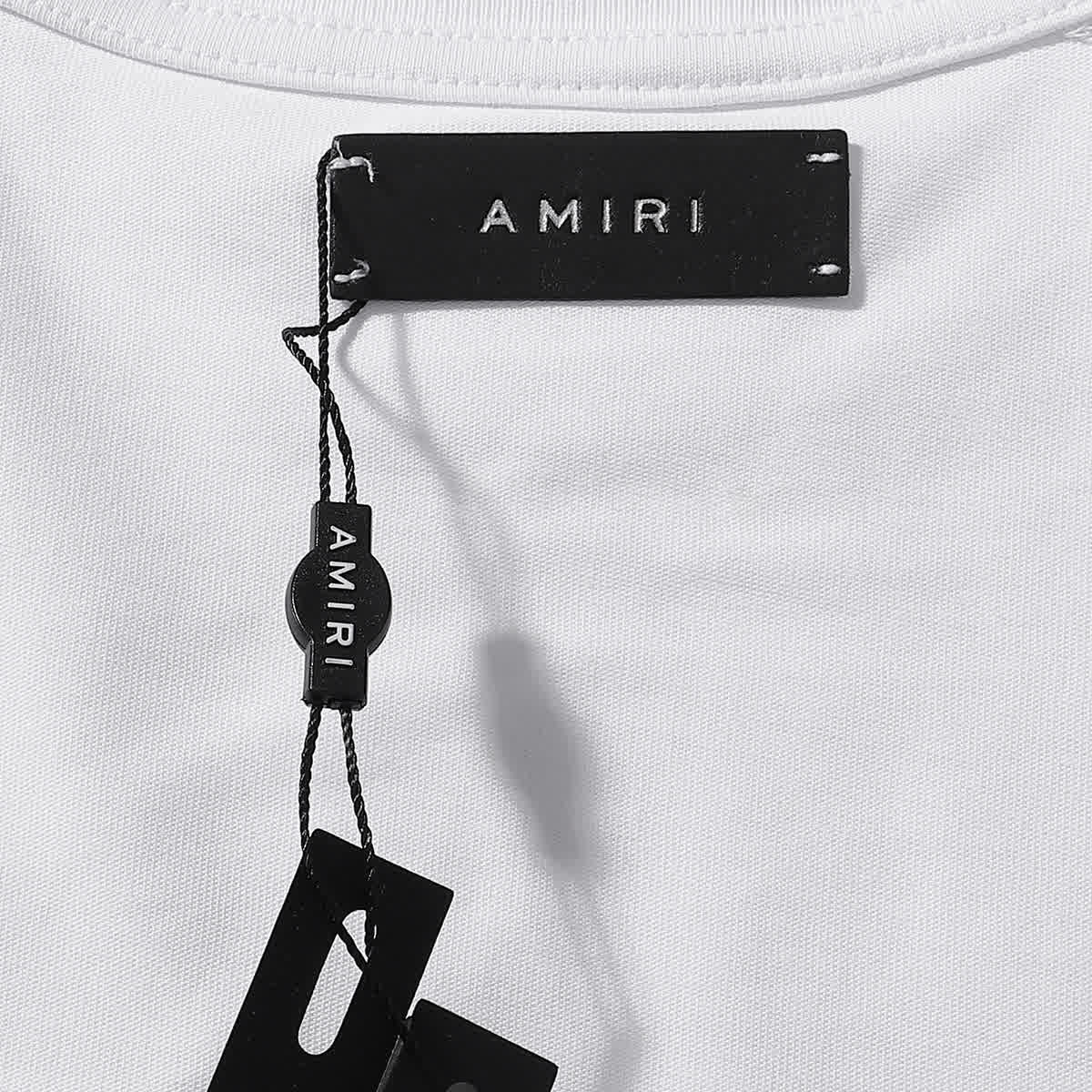 AMIR0095 12