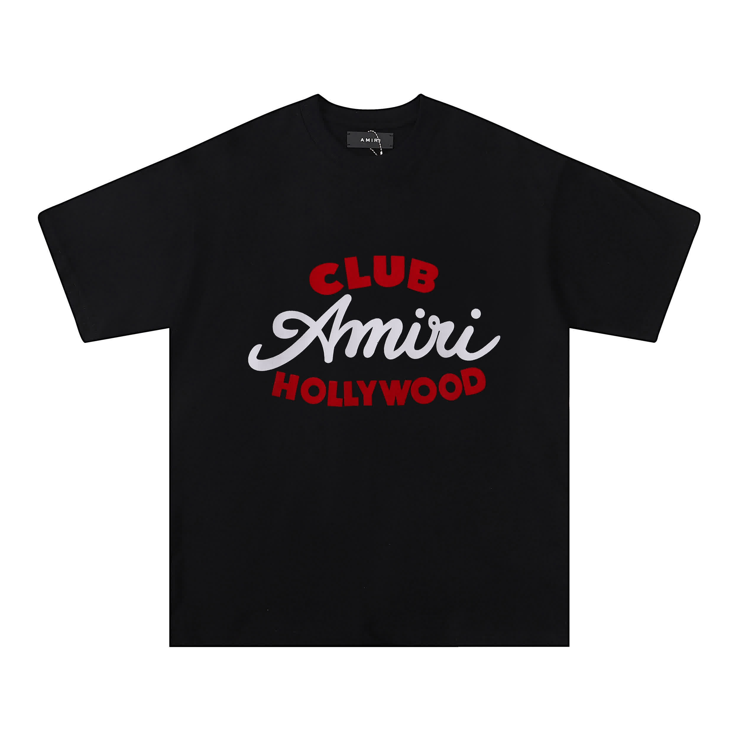 AMIR0096