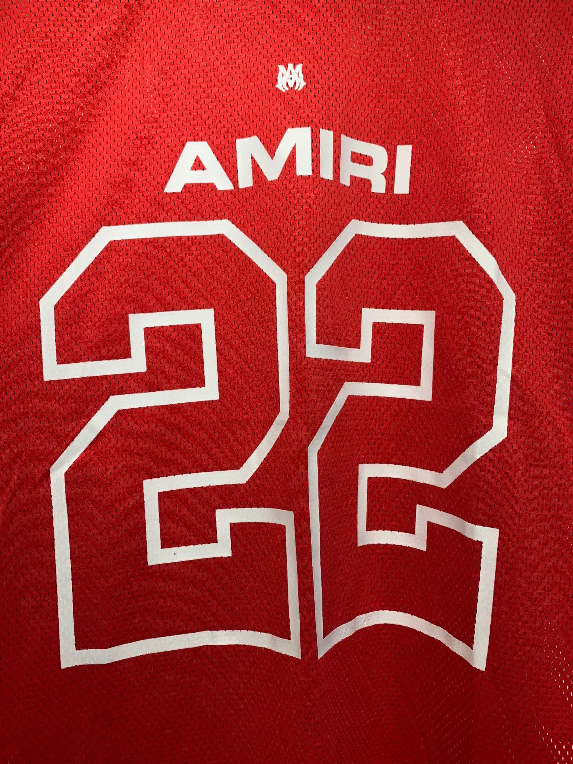 AMIR6003 17