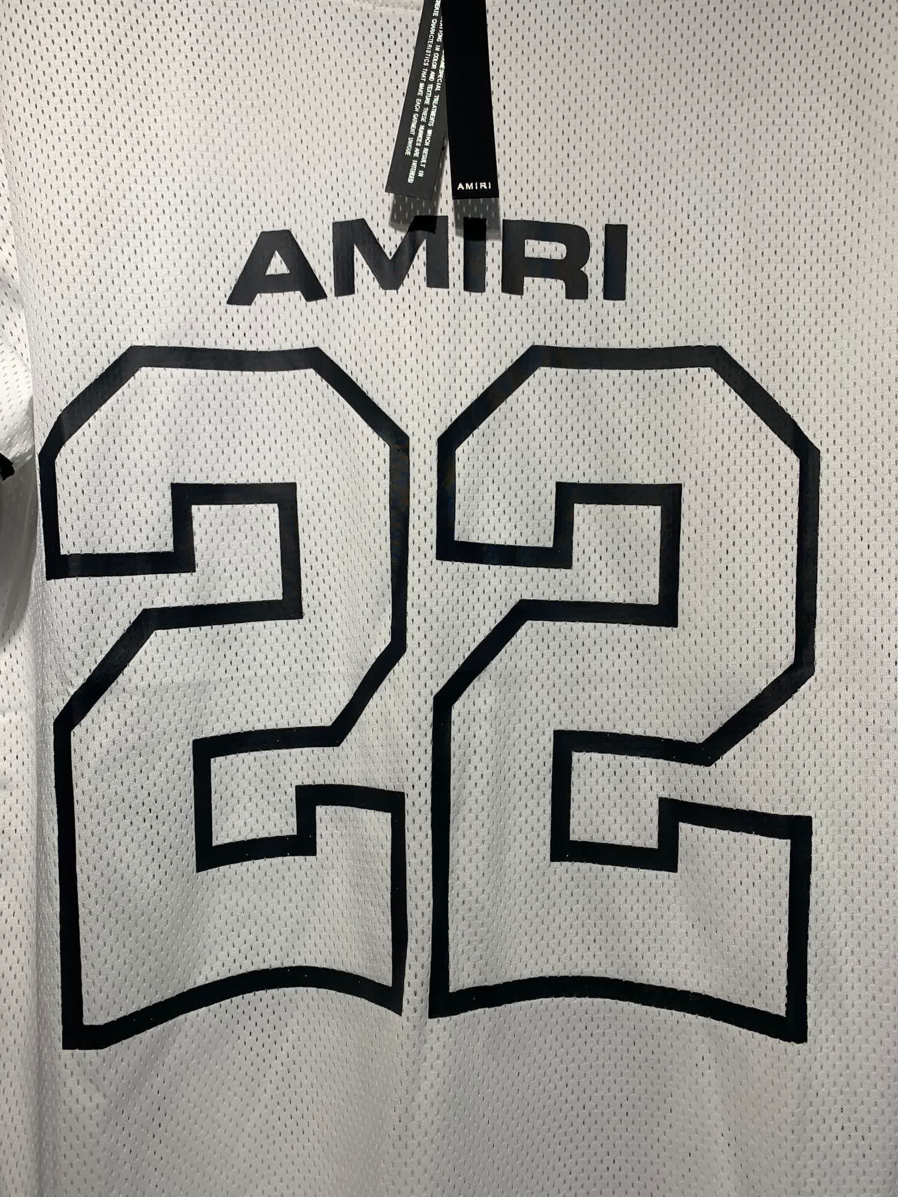 AMIR6003 36