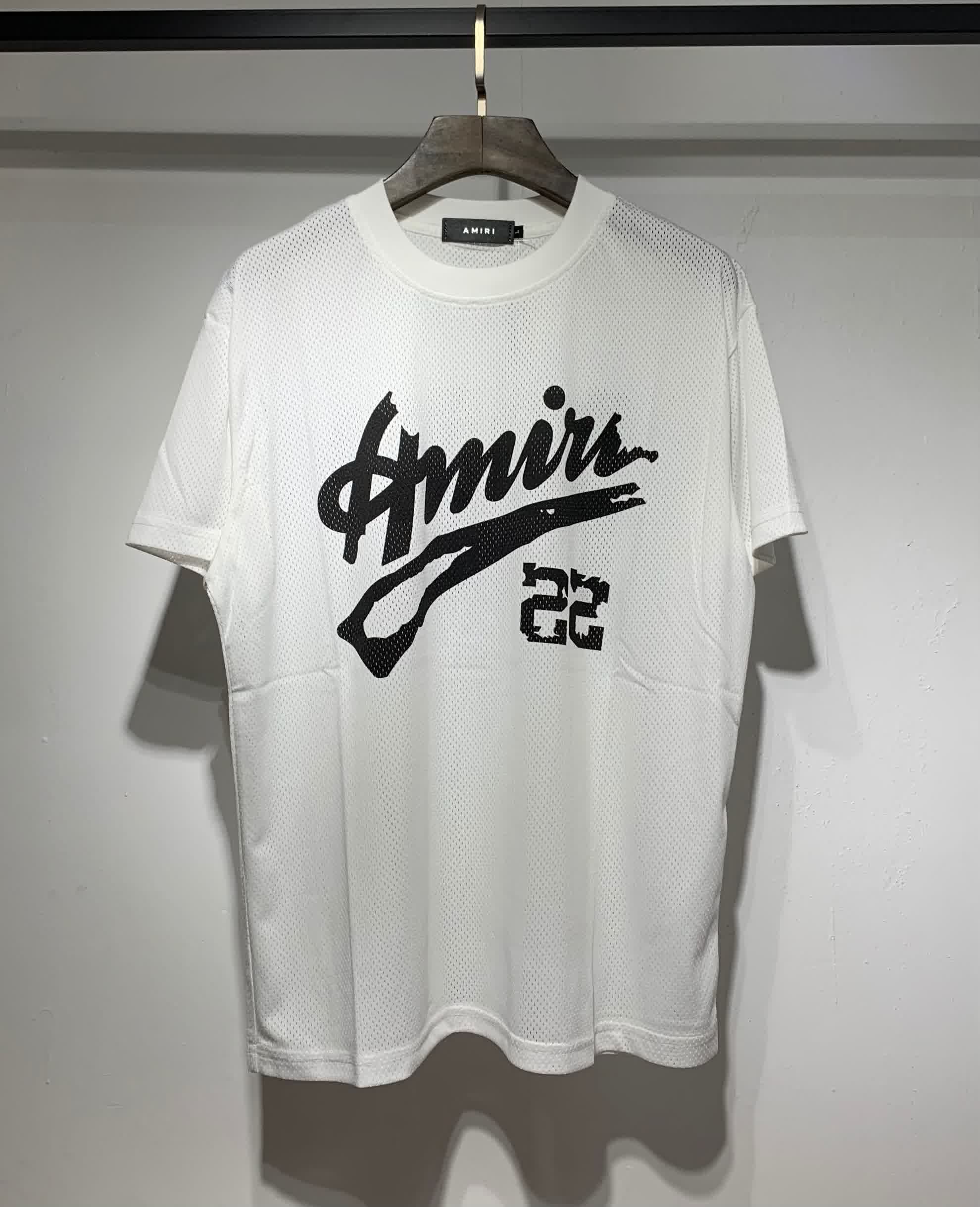 AMIR6004 12