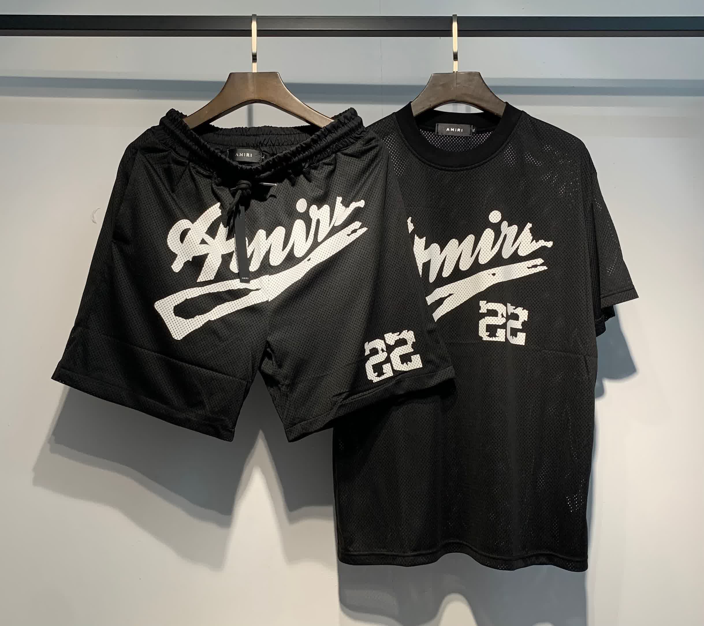 AMIR6004 17