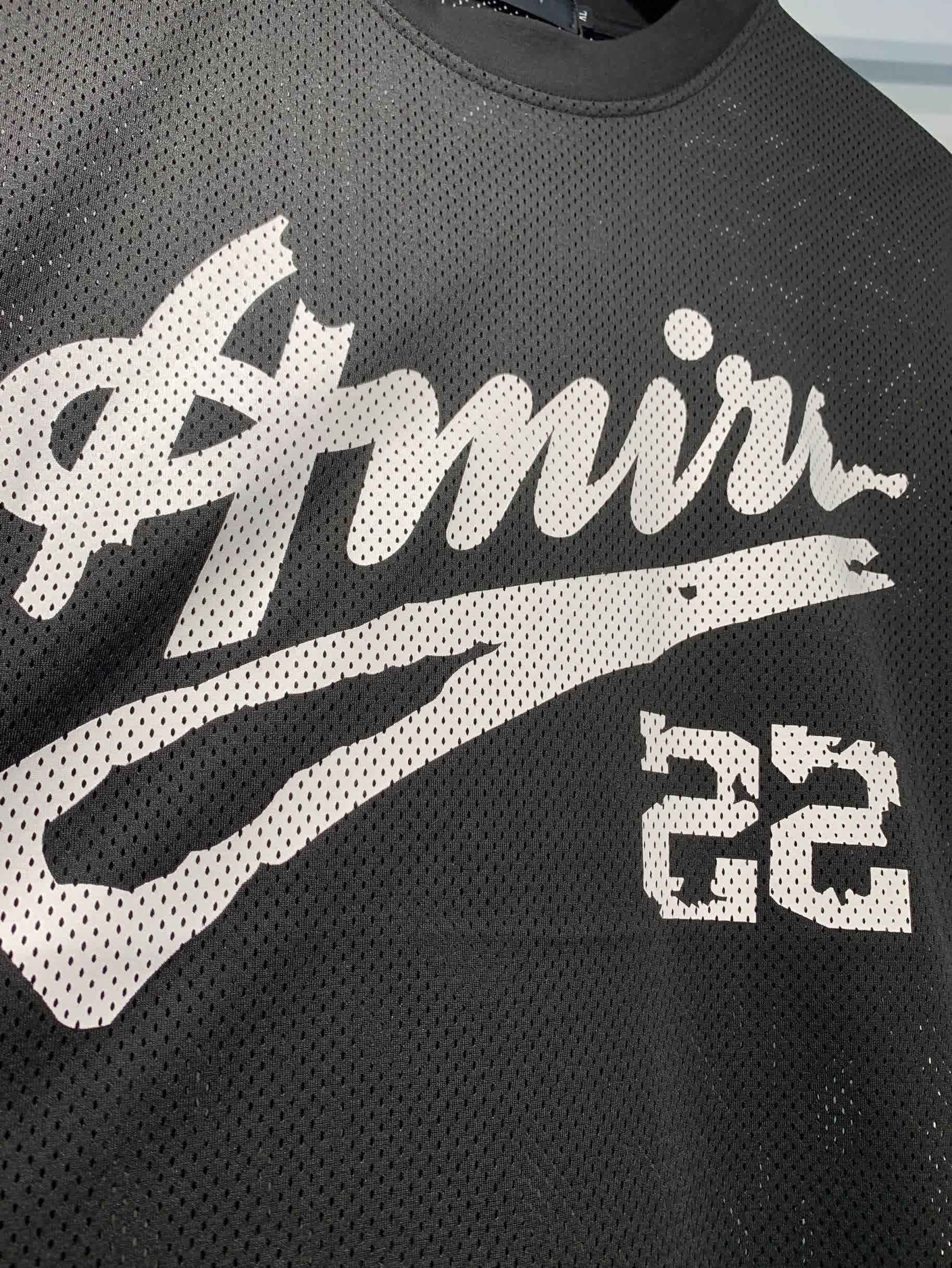 AMIR6004 33