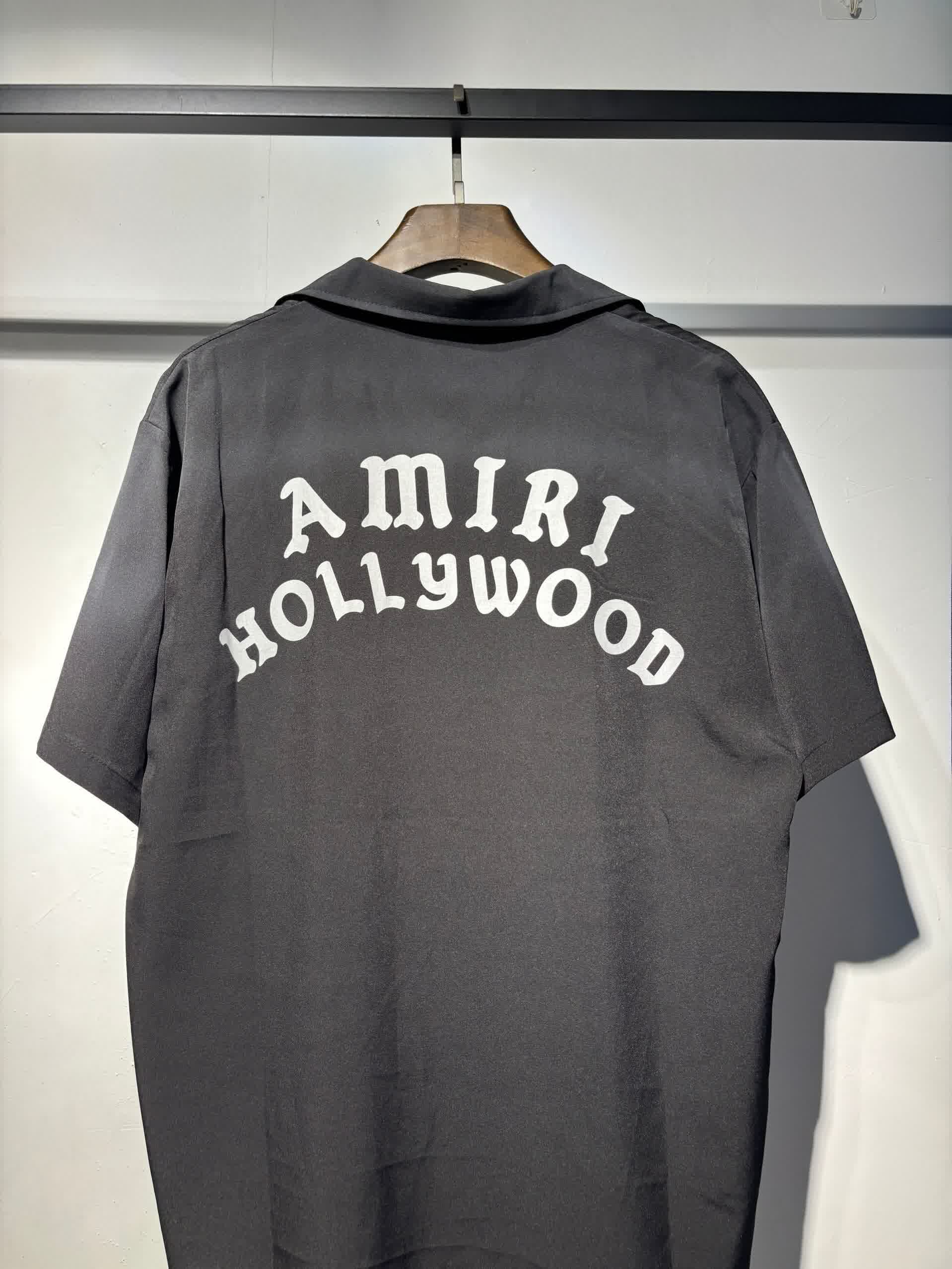AMIR6006