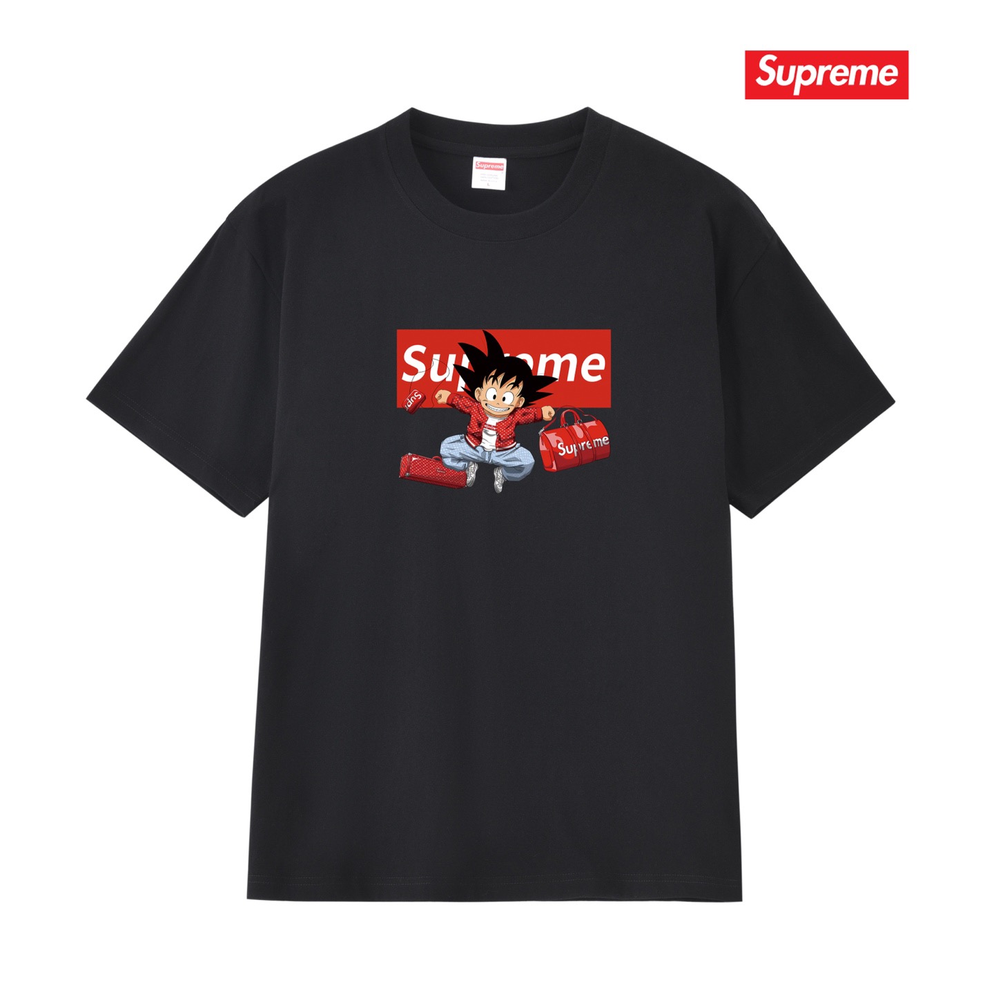 SSP101