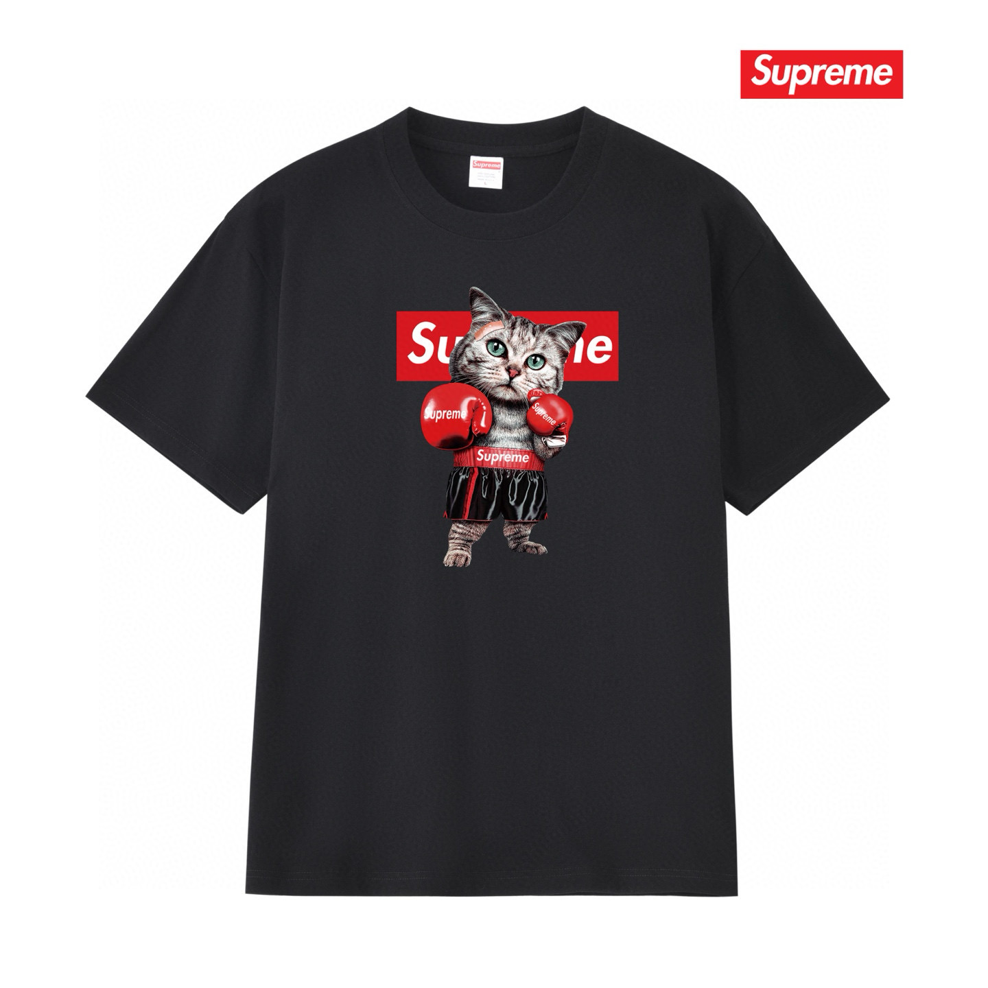 SSP295